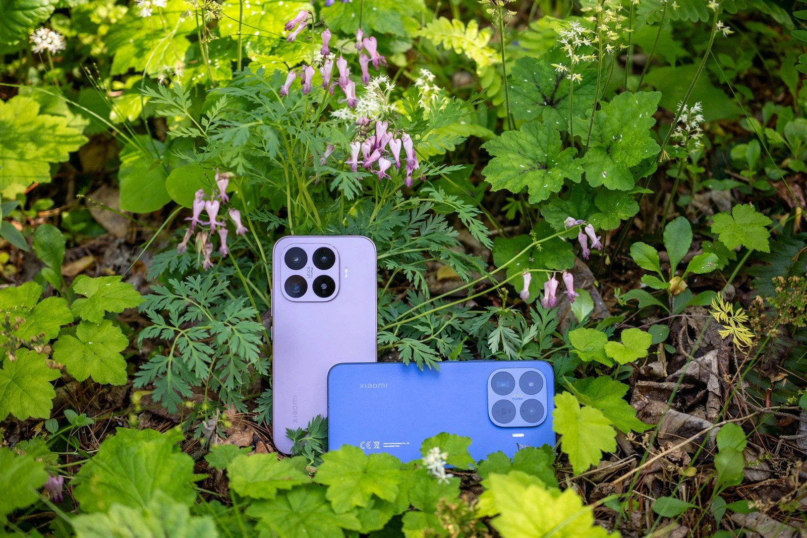 Xiaomi 17T Series by Kate Garibaldi DSC09020-2.jpg