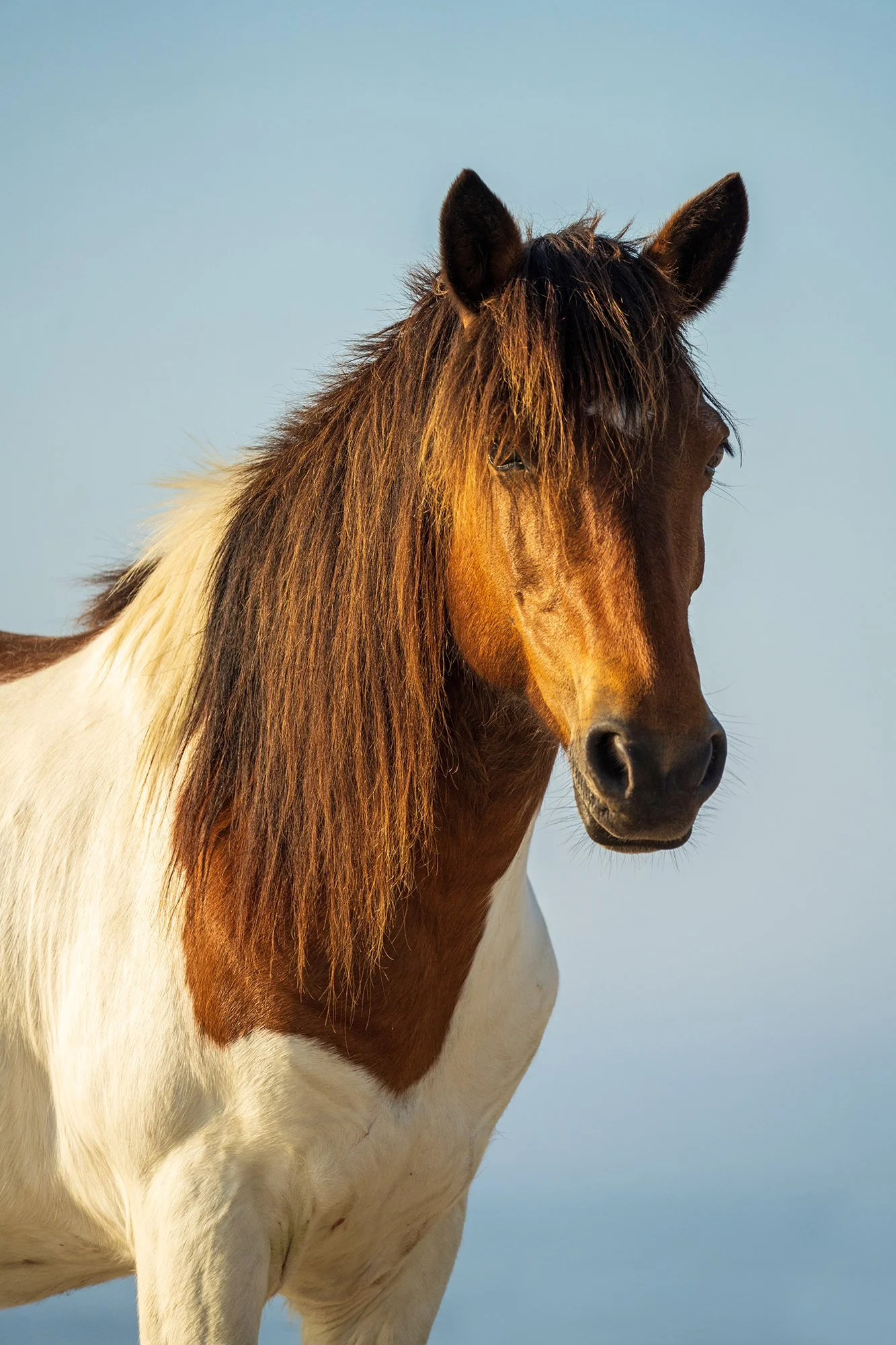 Last light portrait by Kate G Torva Terra websize 2k.jpg