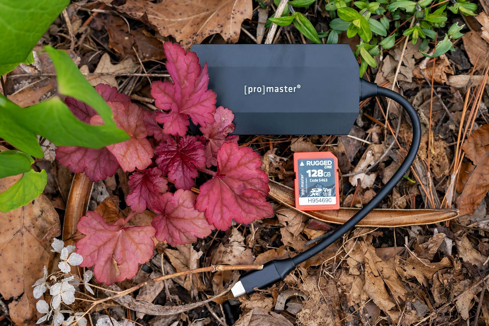 ProMaster Rugged Cine SDXC and Reader PetaPixel 7.jpg
