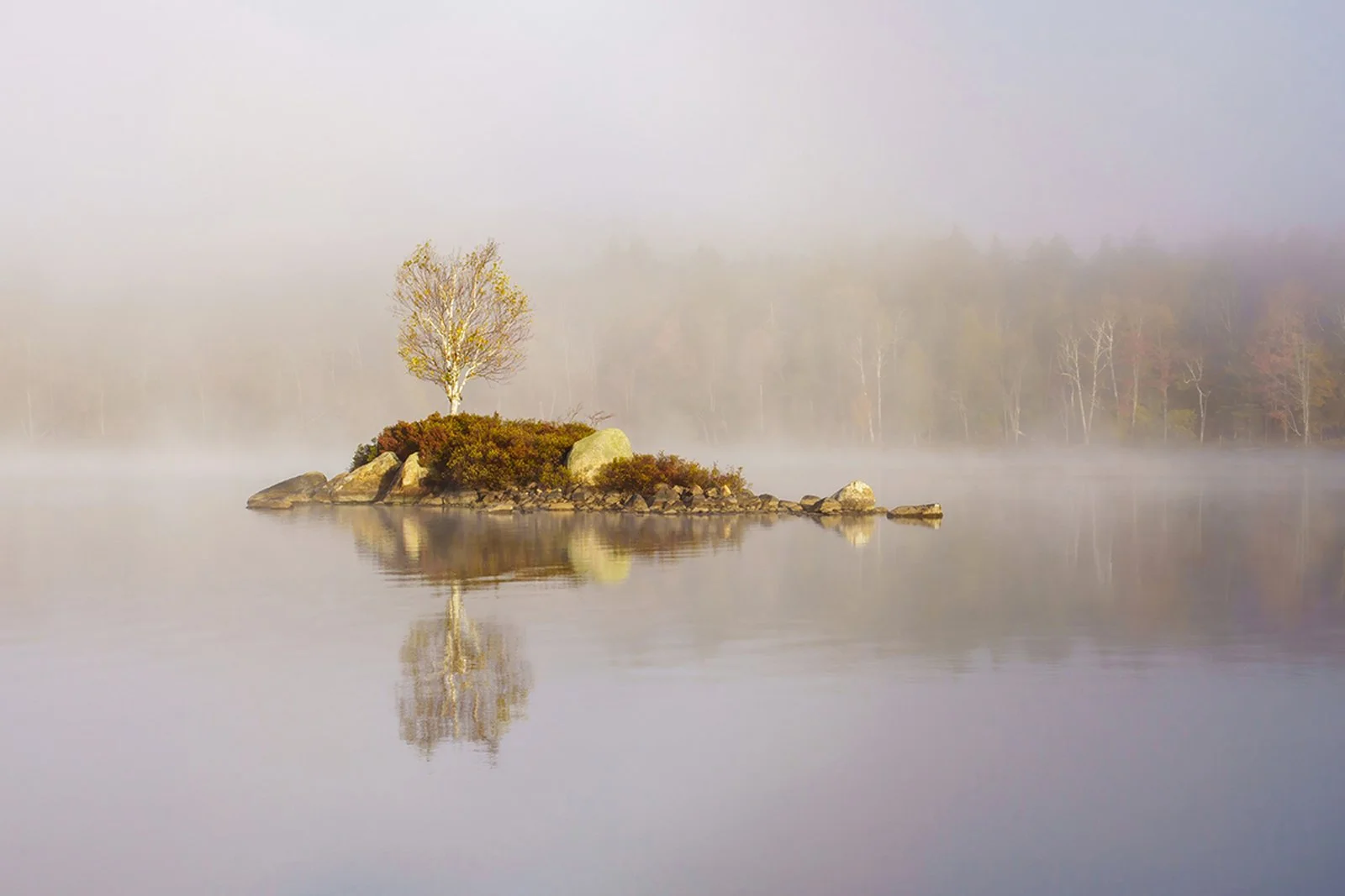 NY Island by Kate G TorvaTerra websized.jpg