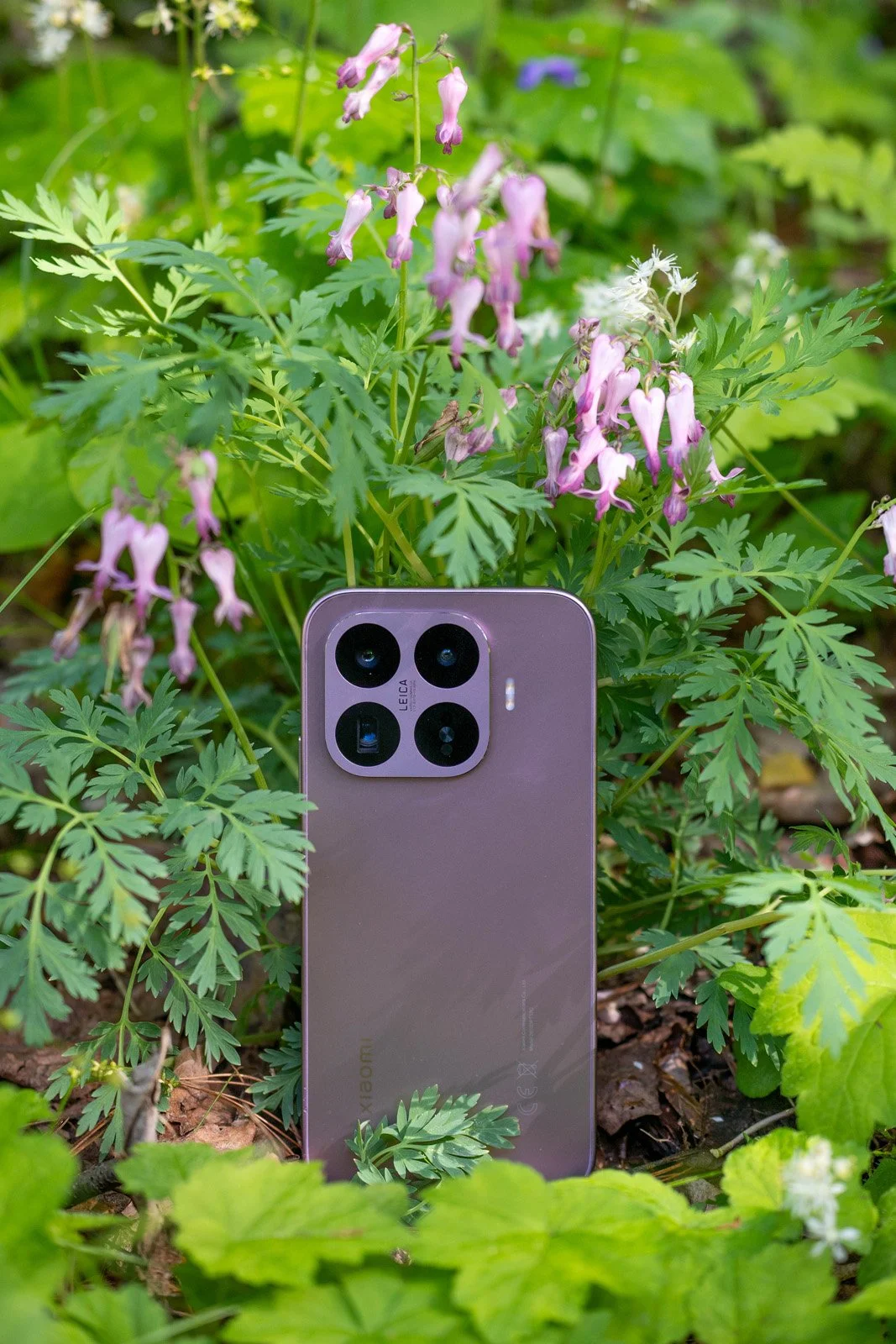 Xiaomi 17T Series by Kate Garibaldi DSC08951.jpg