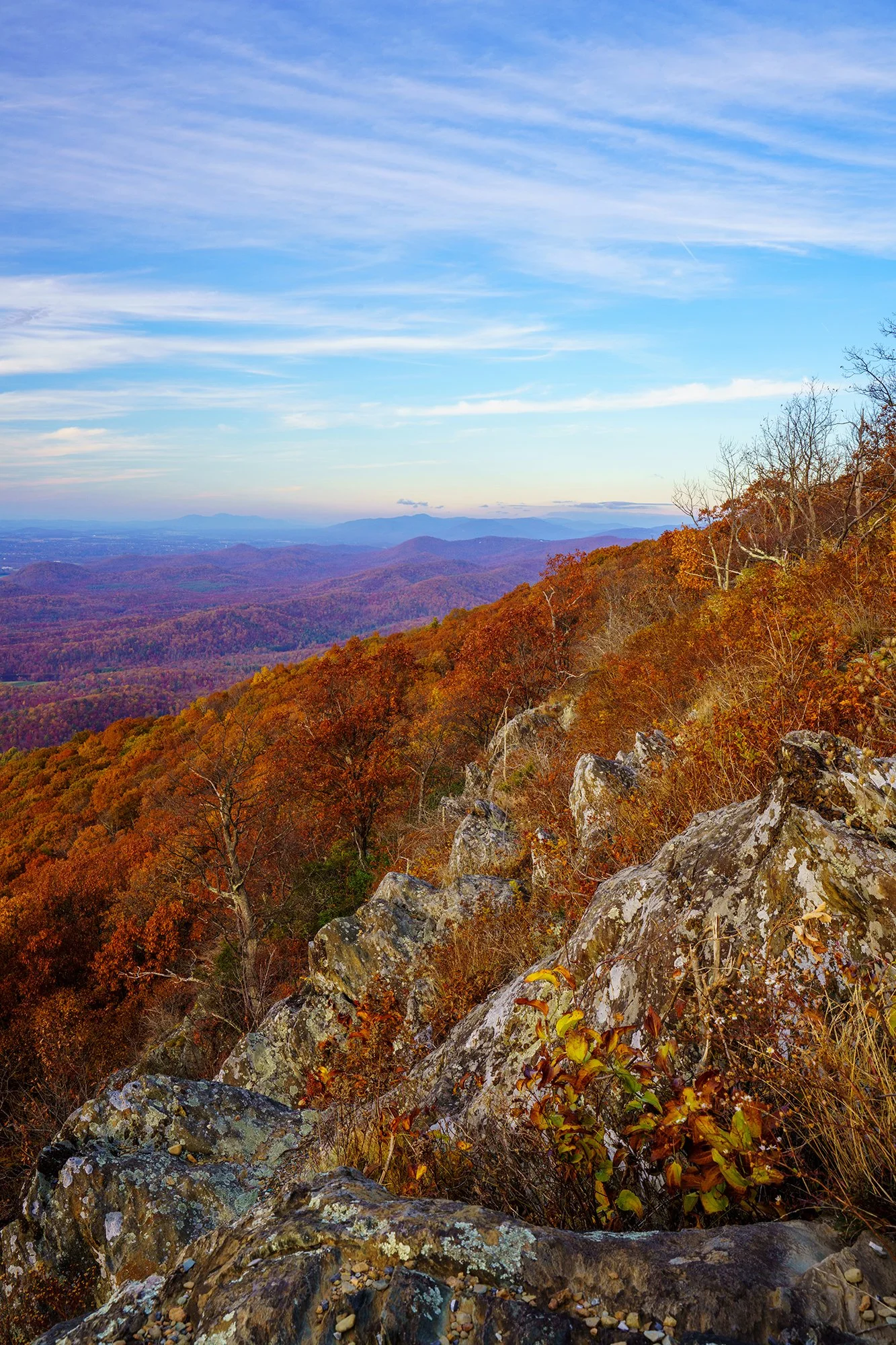 DSC08200-1 Webcopy.jpg