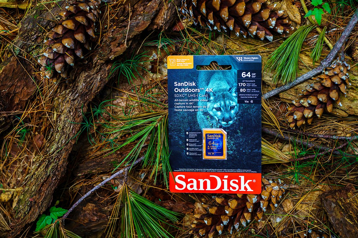 SanDisk Outdoors 4K SD UHS-I Card - 64GB Lead.jpg