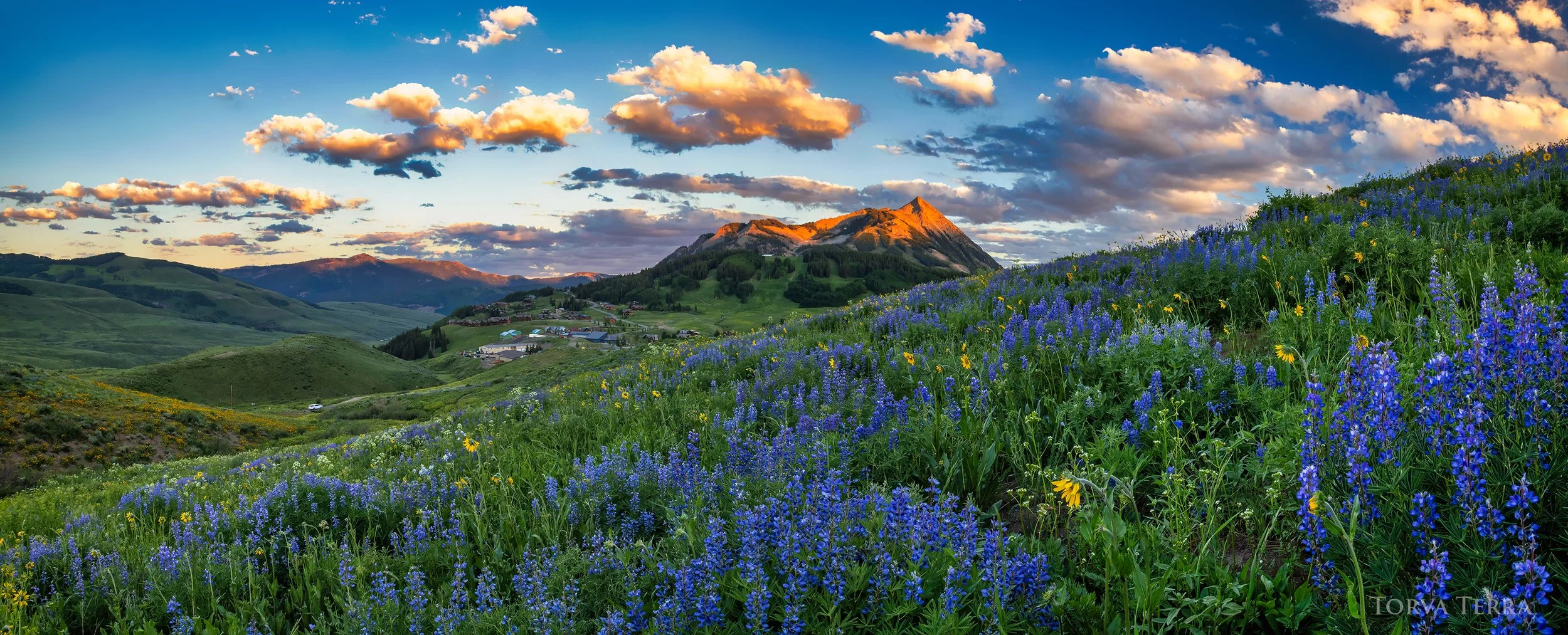 Shadow of the Crest by Kate G Pano WM.jpg