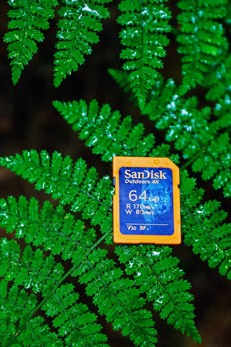 SanDisk Outdoors 4K SD UHS-I Card - 64GB 2.jpg