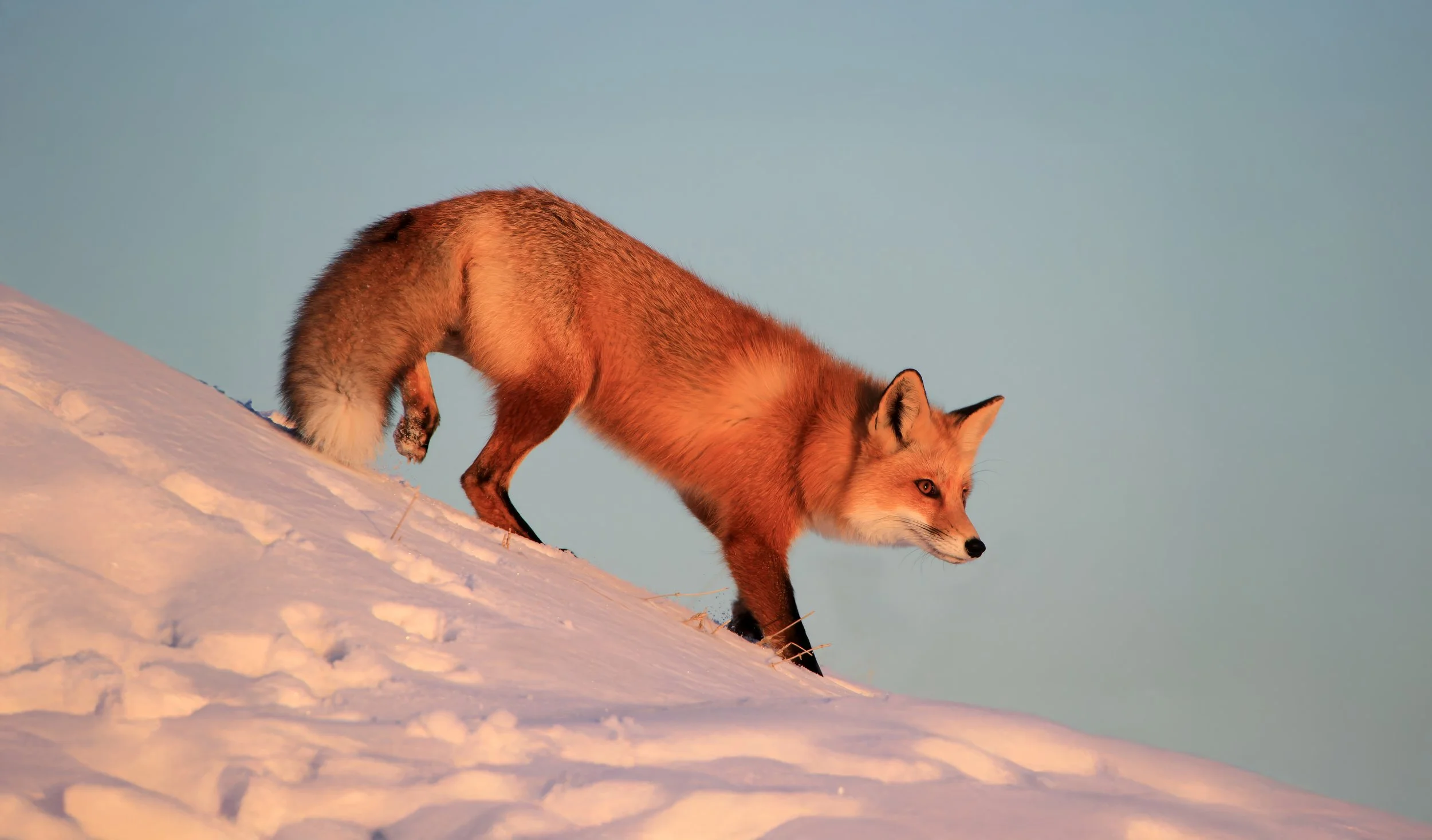 px_5886v2 copy3-DN.jpg