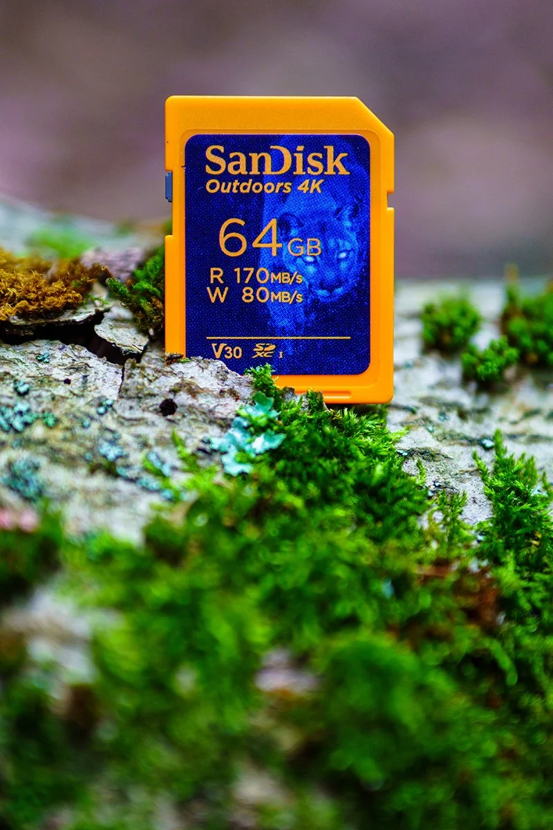 SanDisk Outdoors 4K SD UHS-I Card - 64GB 1.jpg