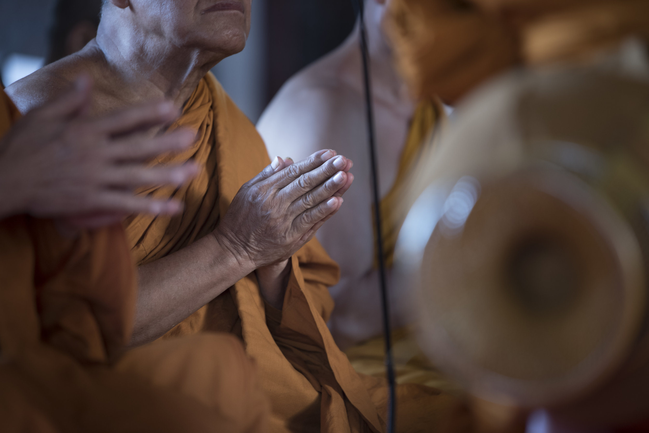 Buddhists and Racial Justice: A History