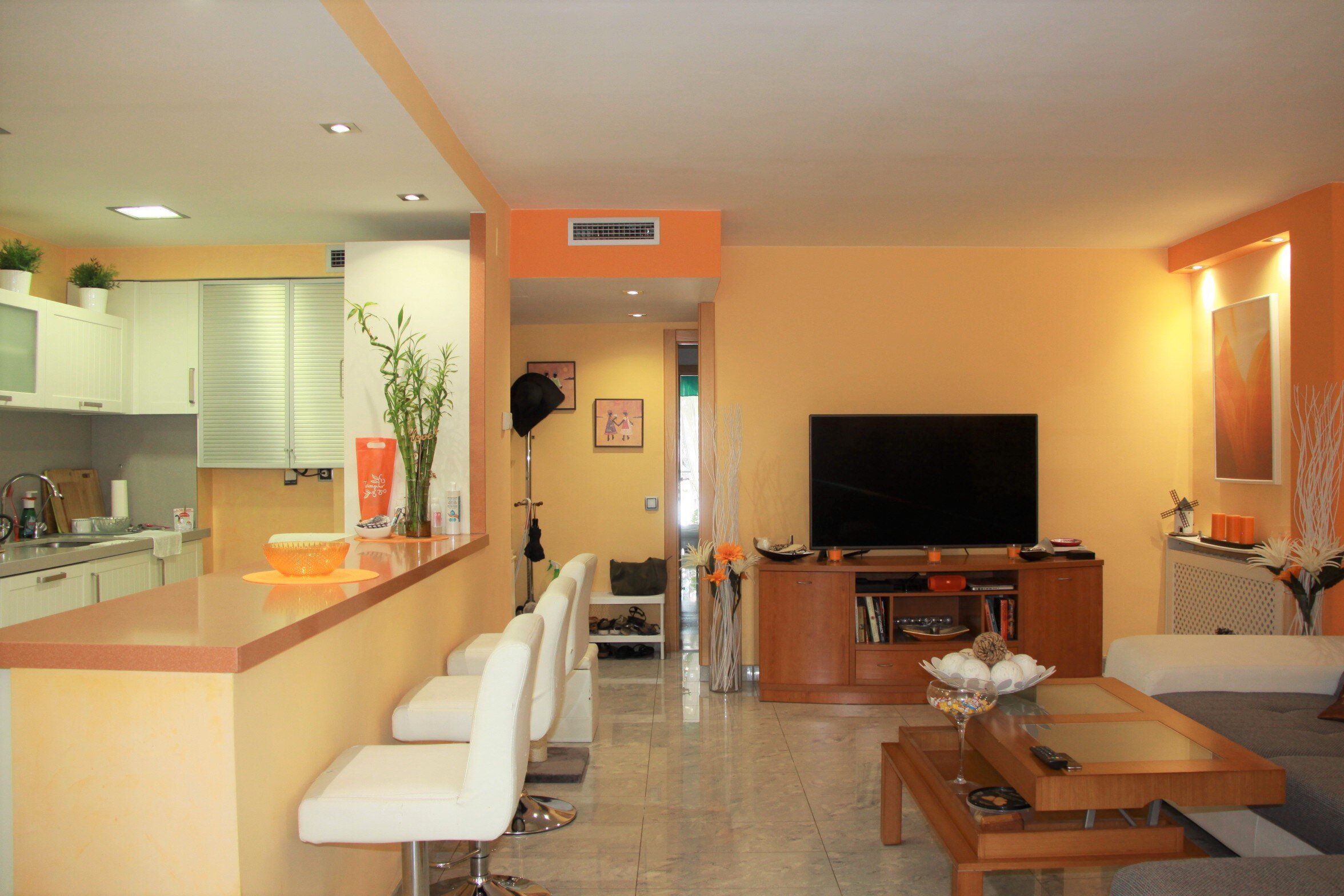 salon con cocina 1.2.JPG