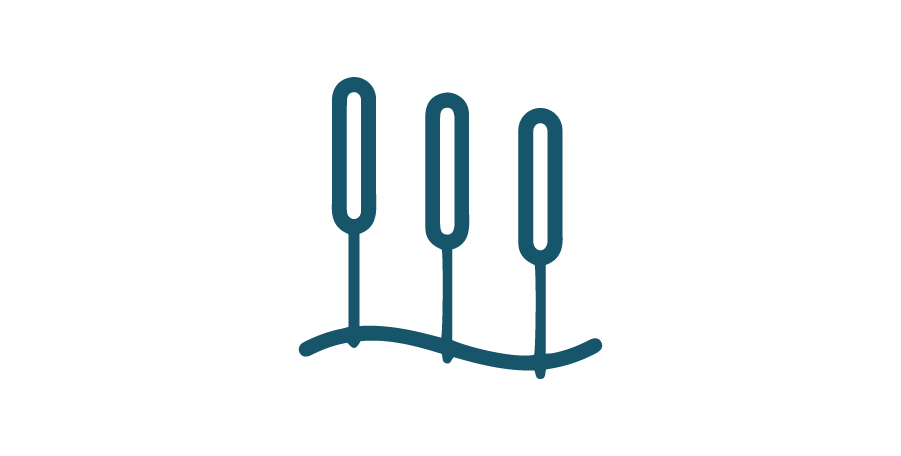AcupunctureAcupuncture balances the flow of qi energy or life force believed to flow through pathways called meridians.