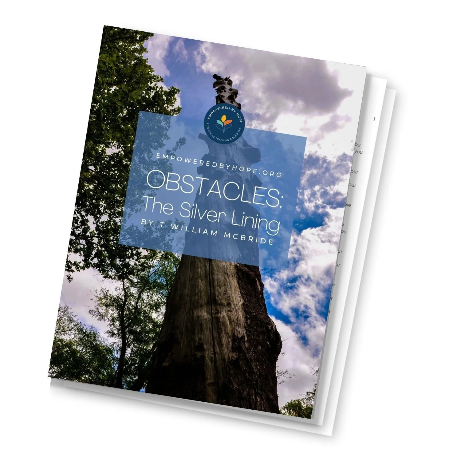 Obsstacles ebook thumbnail.jpg