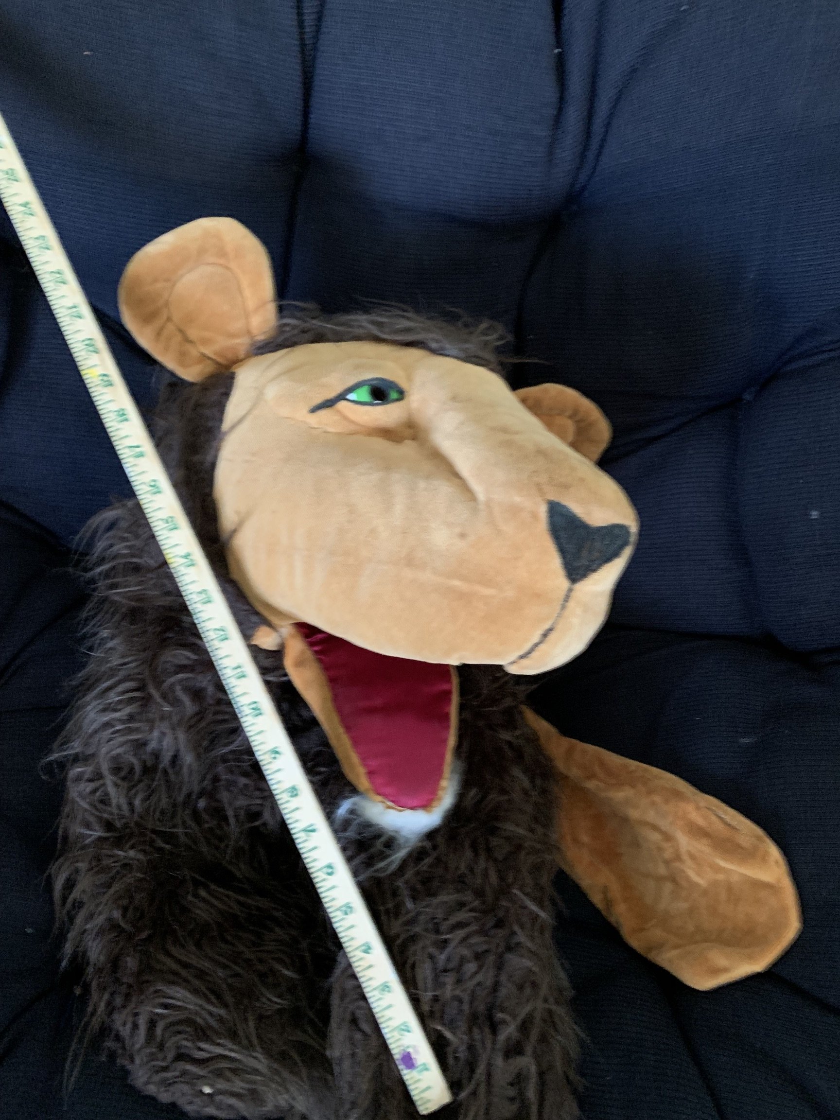 lion.jpeg
