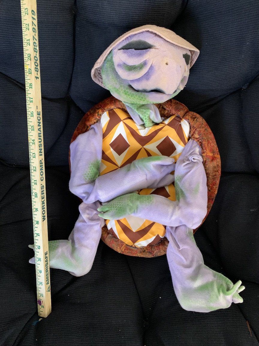 Tortoise2.jpeg