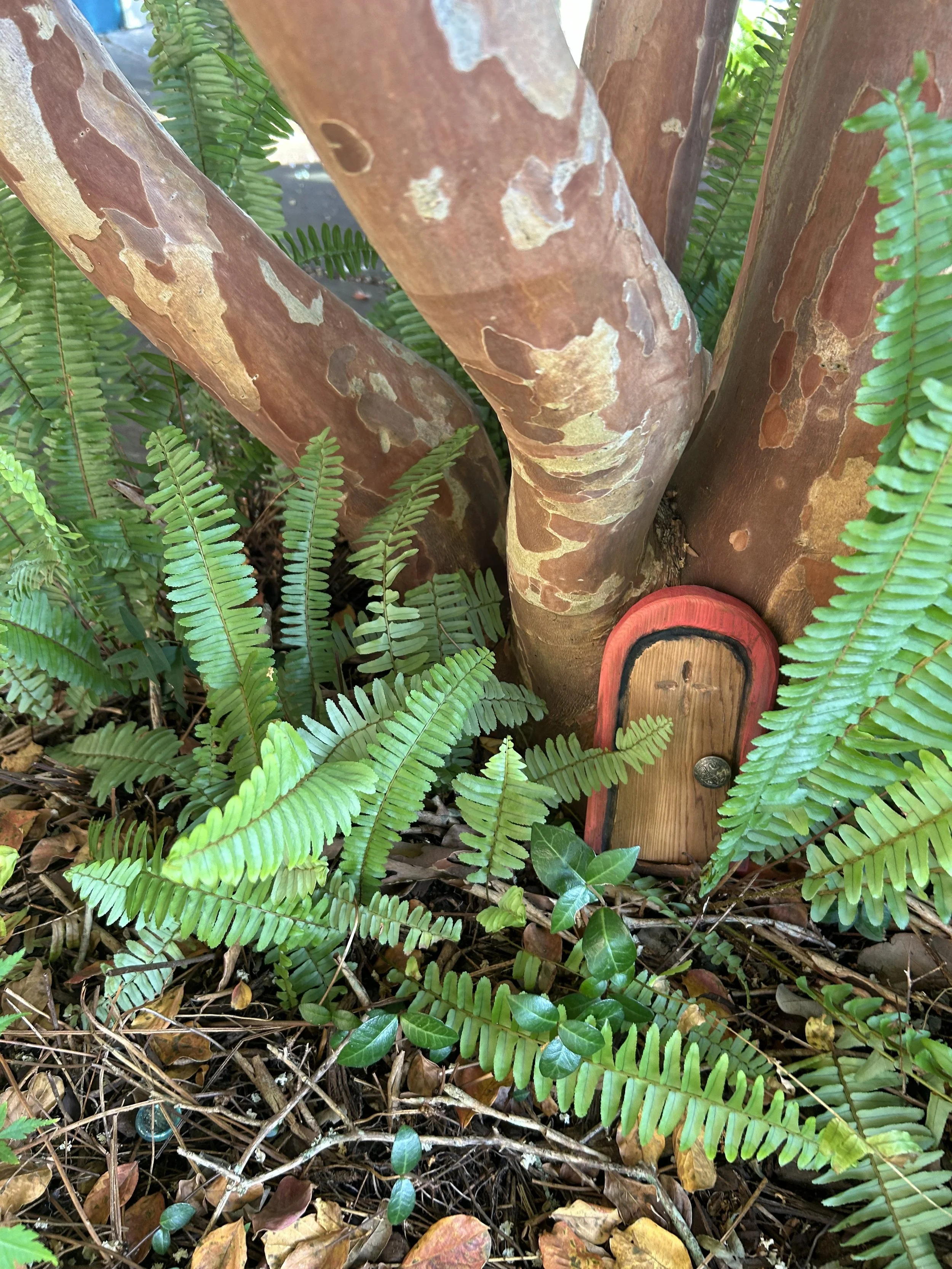 Fairy door 1.jpeg