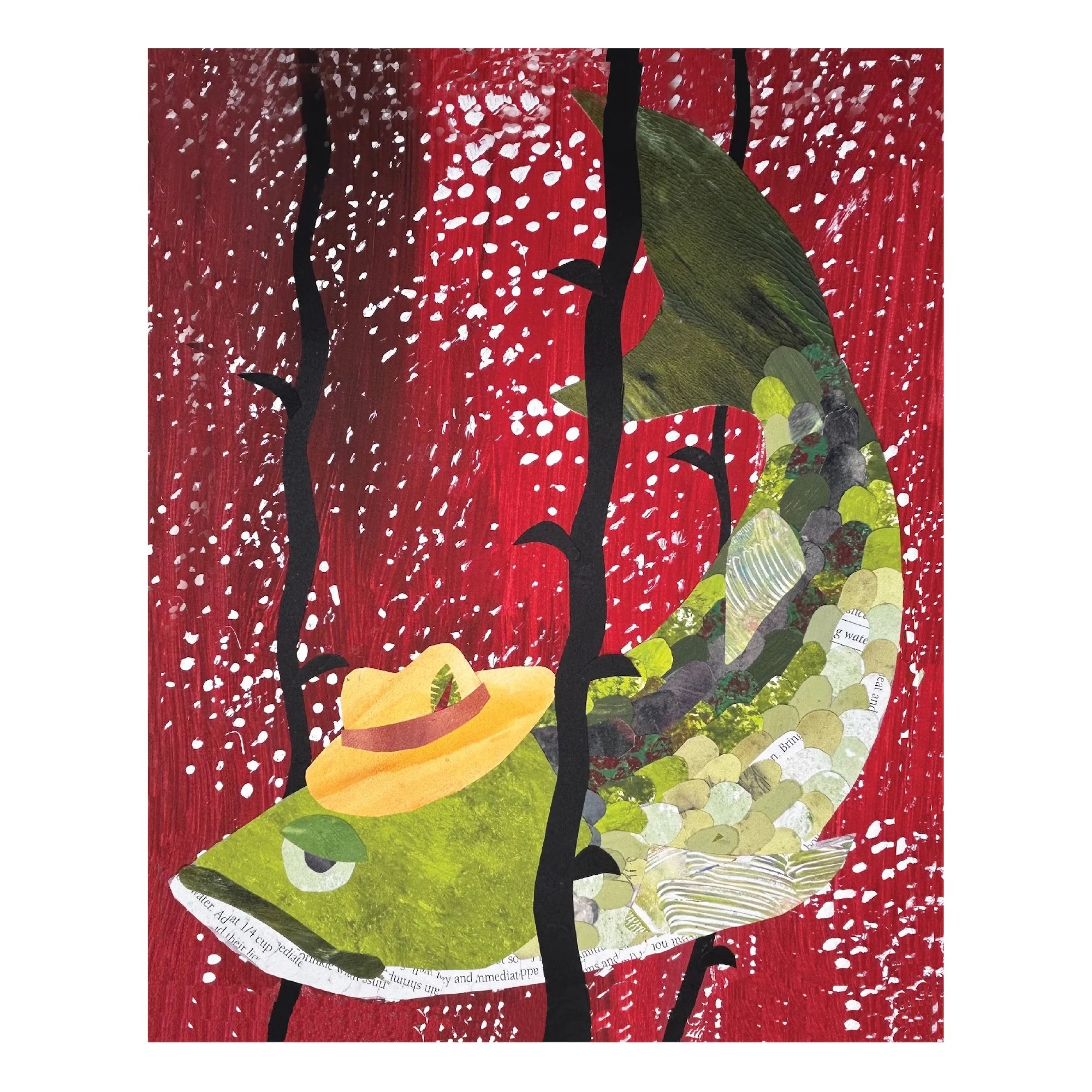 LOCAL CATCH SERIES: Big Bass