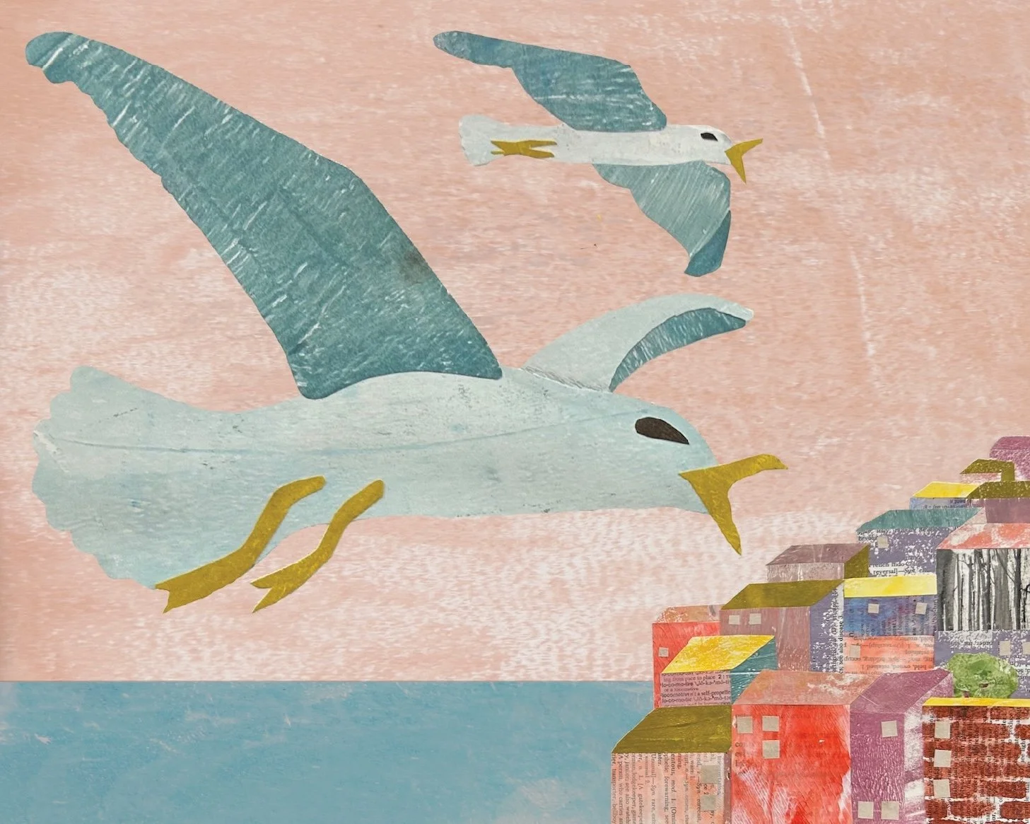 seagulls 3.jpg