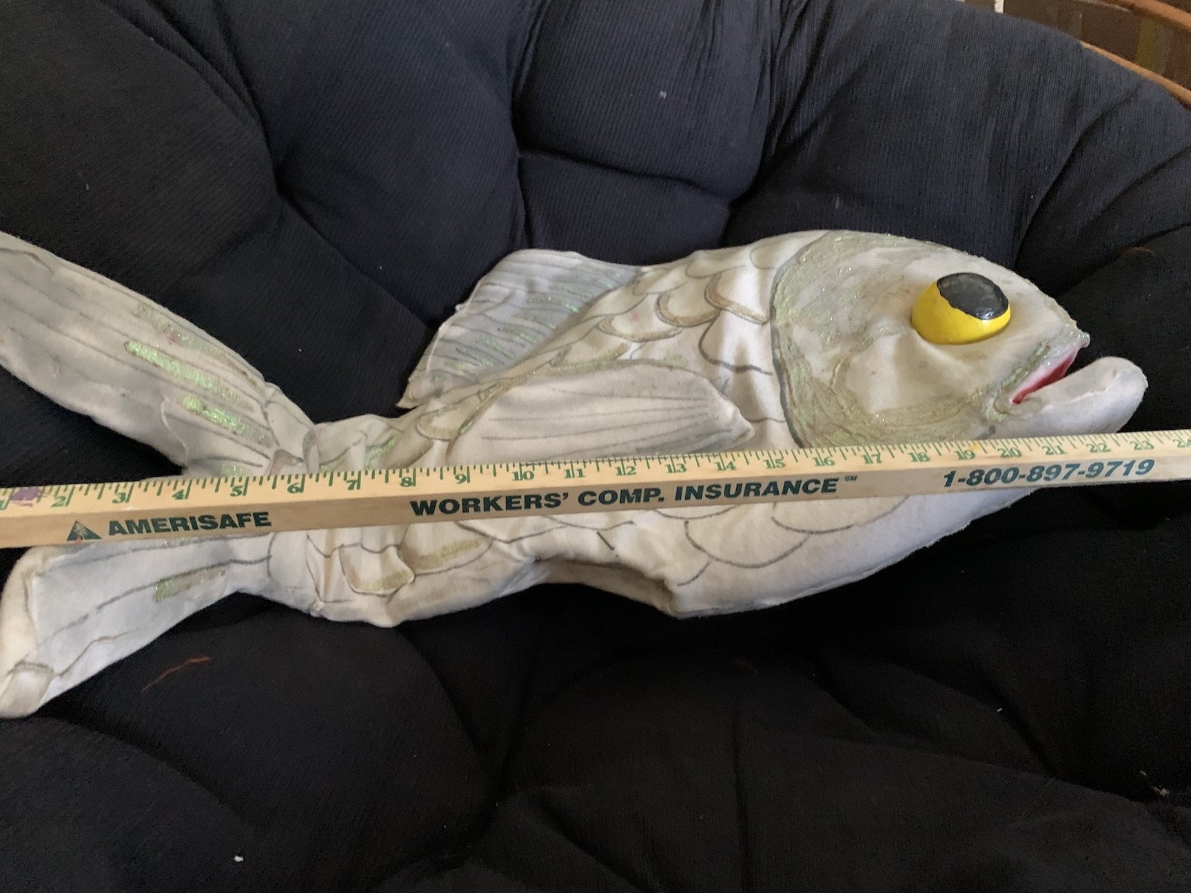 fish2.jpeg