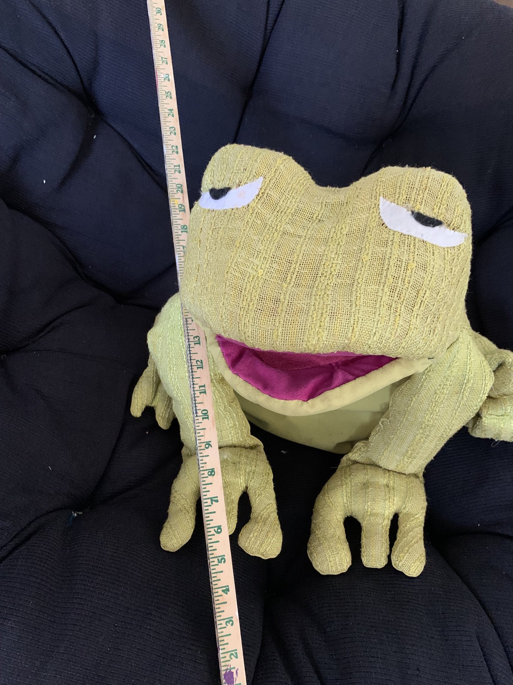 frog 1.jpeg