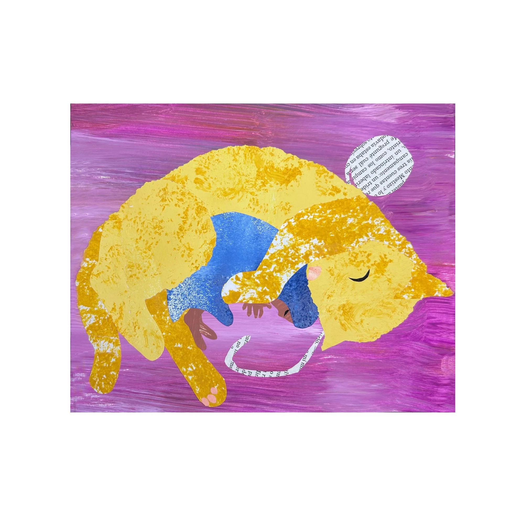 COMPANION SERIES: Cozy Cat