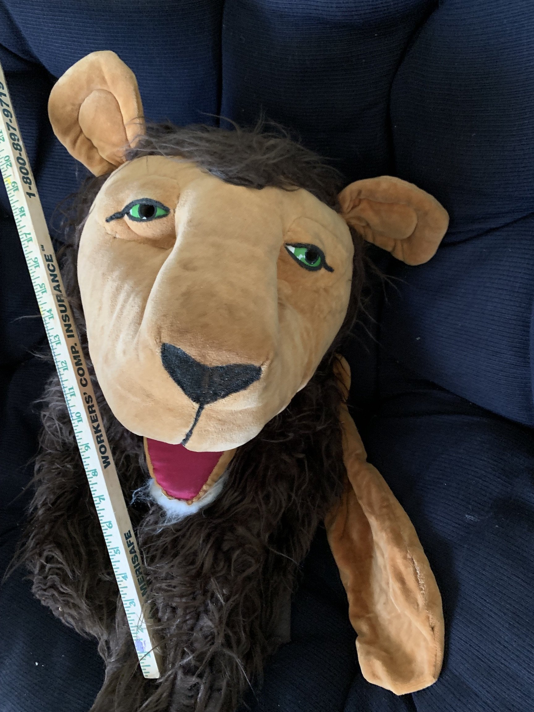 lion2.jpeg