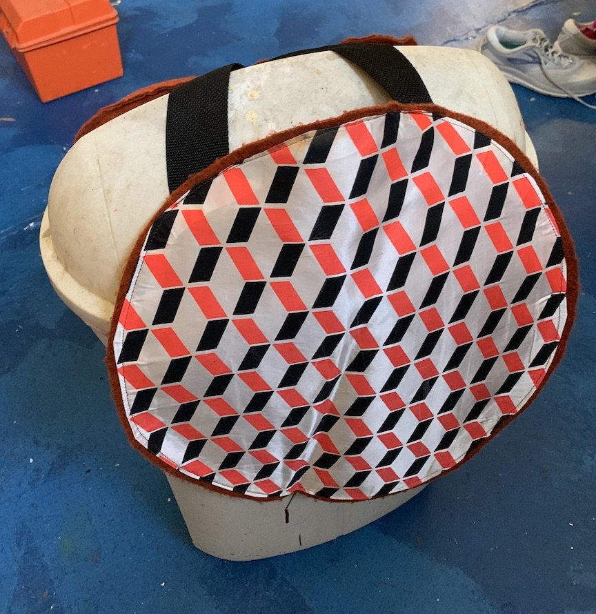 Turtle shell.jpeg