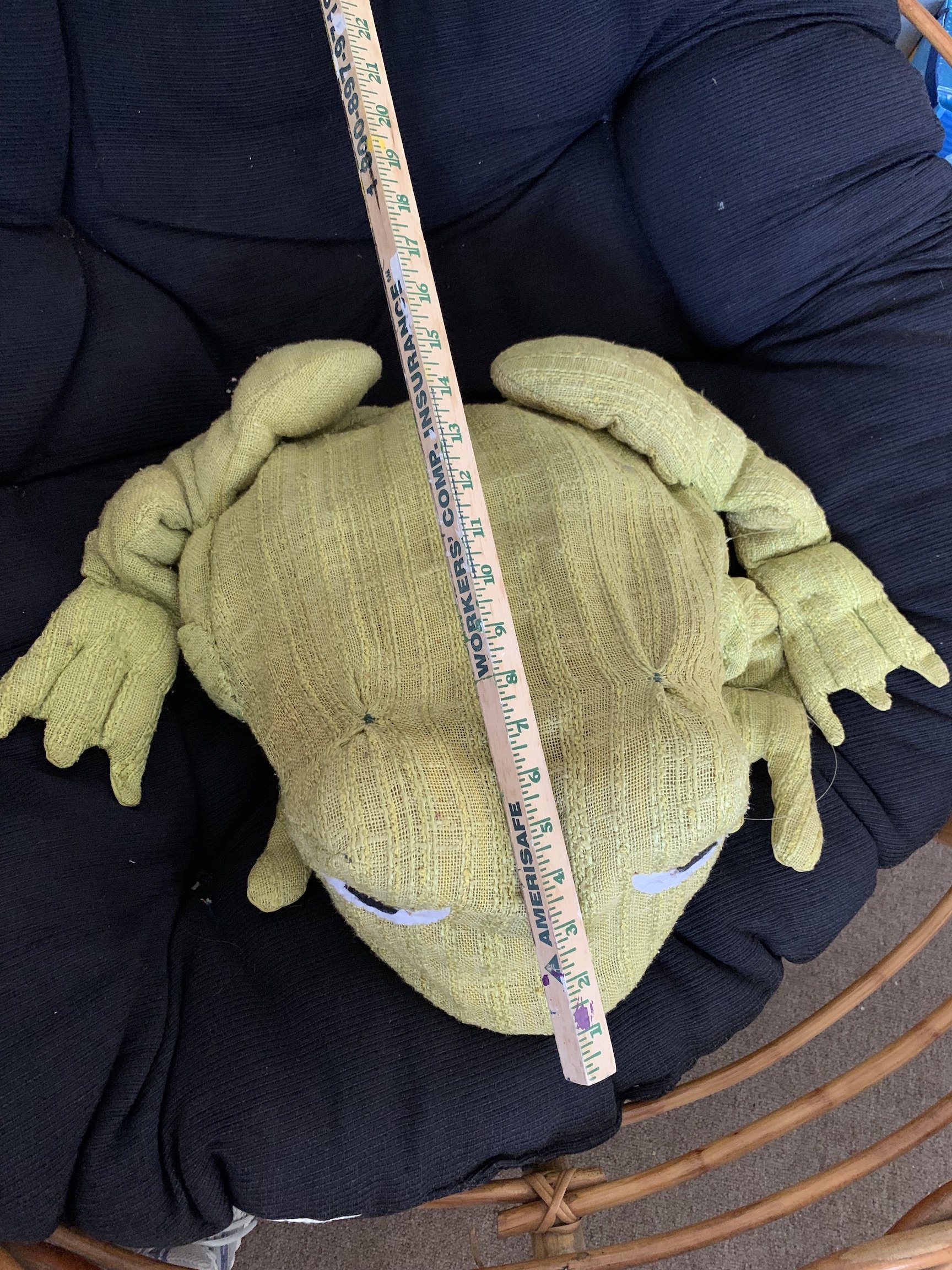 frog 2.jpeg
