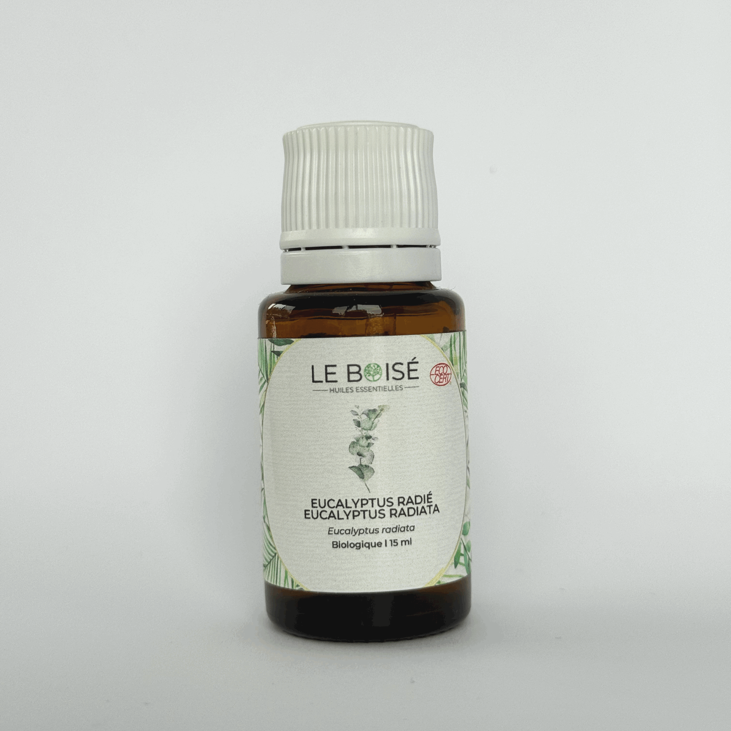 Huile essentielle - Eucalyptus radié (BIO)