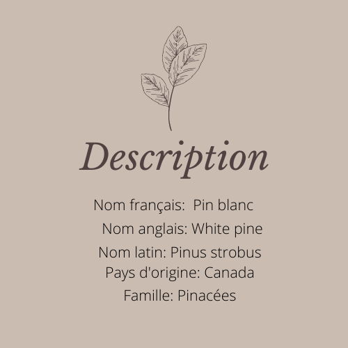 Description pin blanc.png