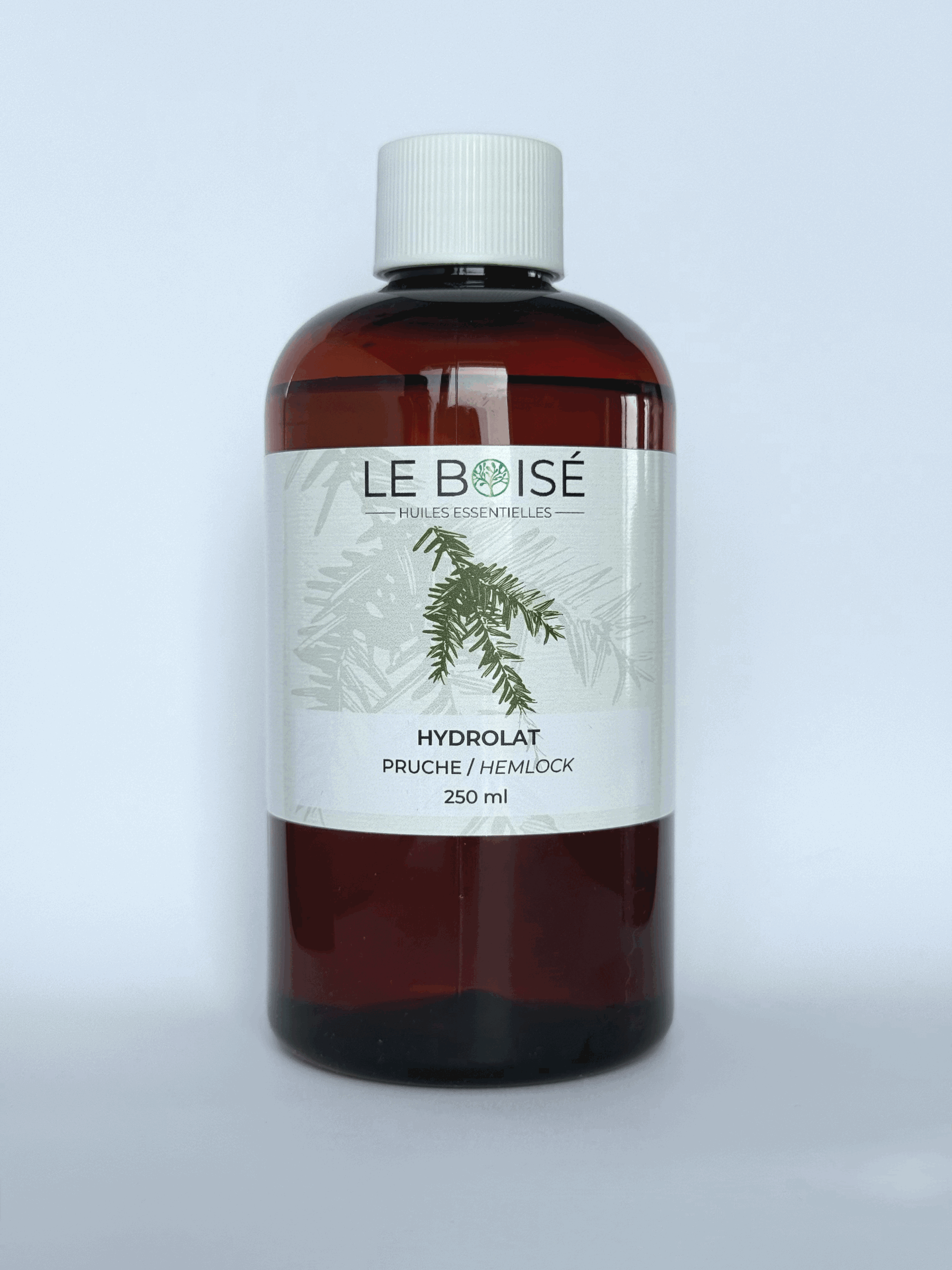 Hydrolat - Pruche (BIO)