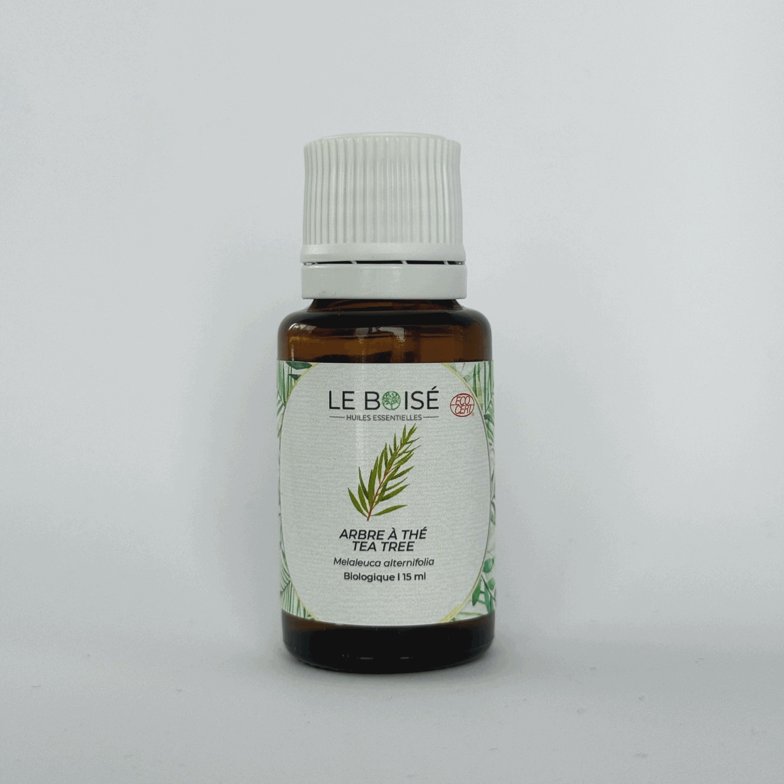 Huile essentielle - Arbre à thé (BIO)
