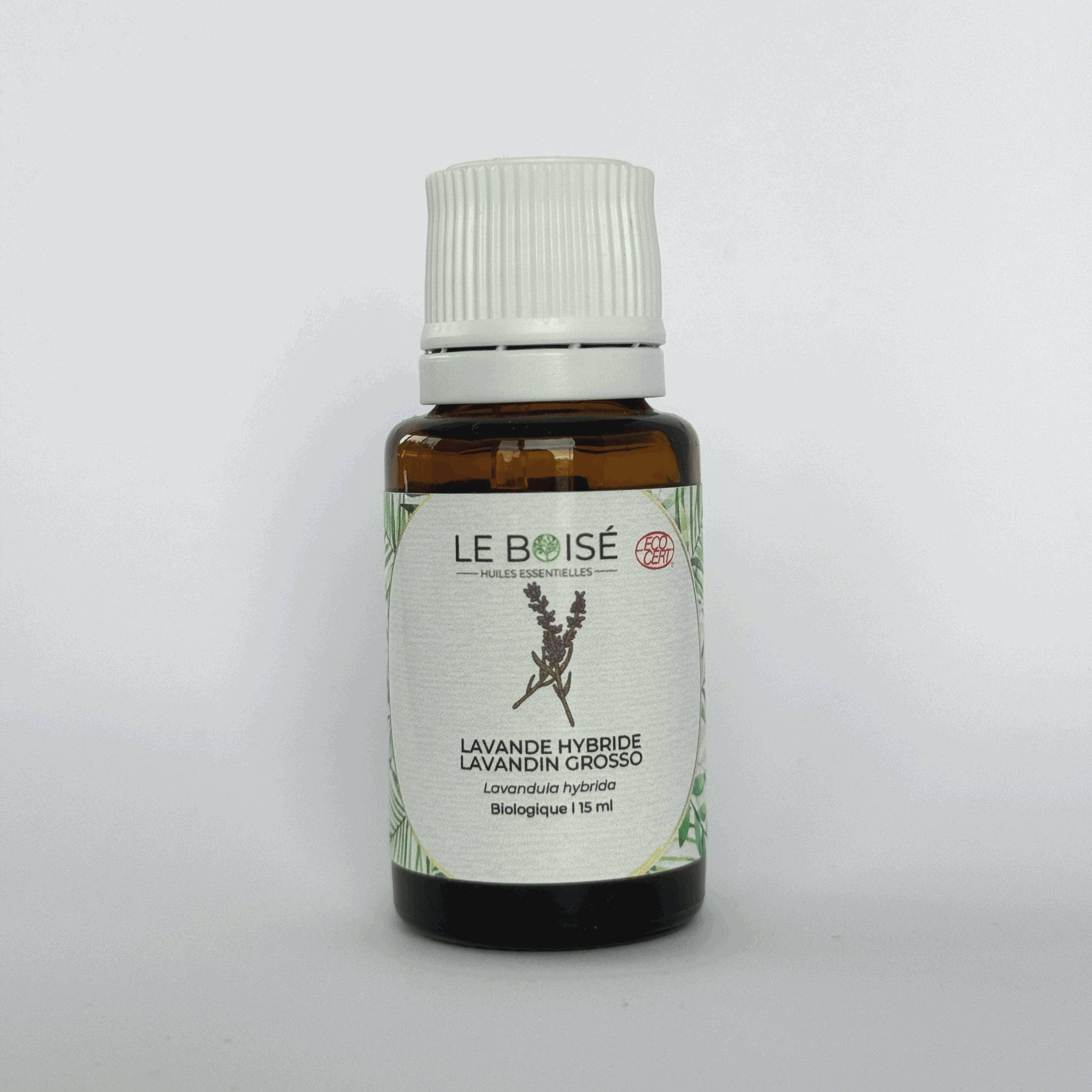 Huile essentielle - Lavande hybride (BIO)