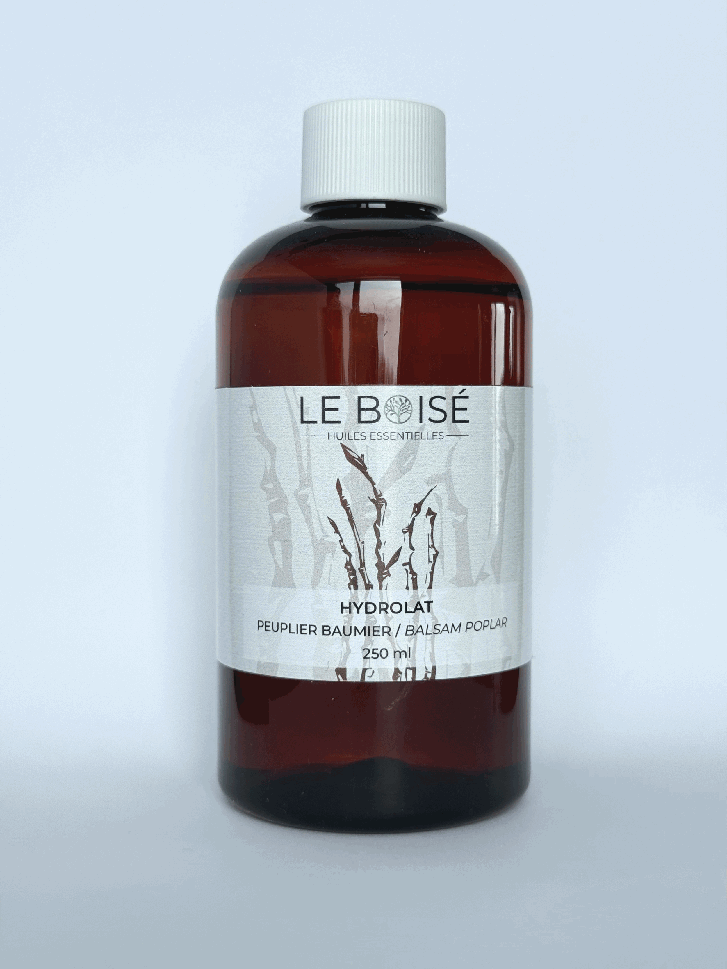 Hydrolat - Peuplier baumier