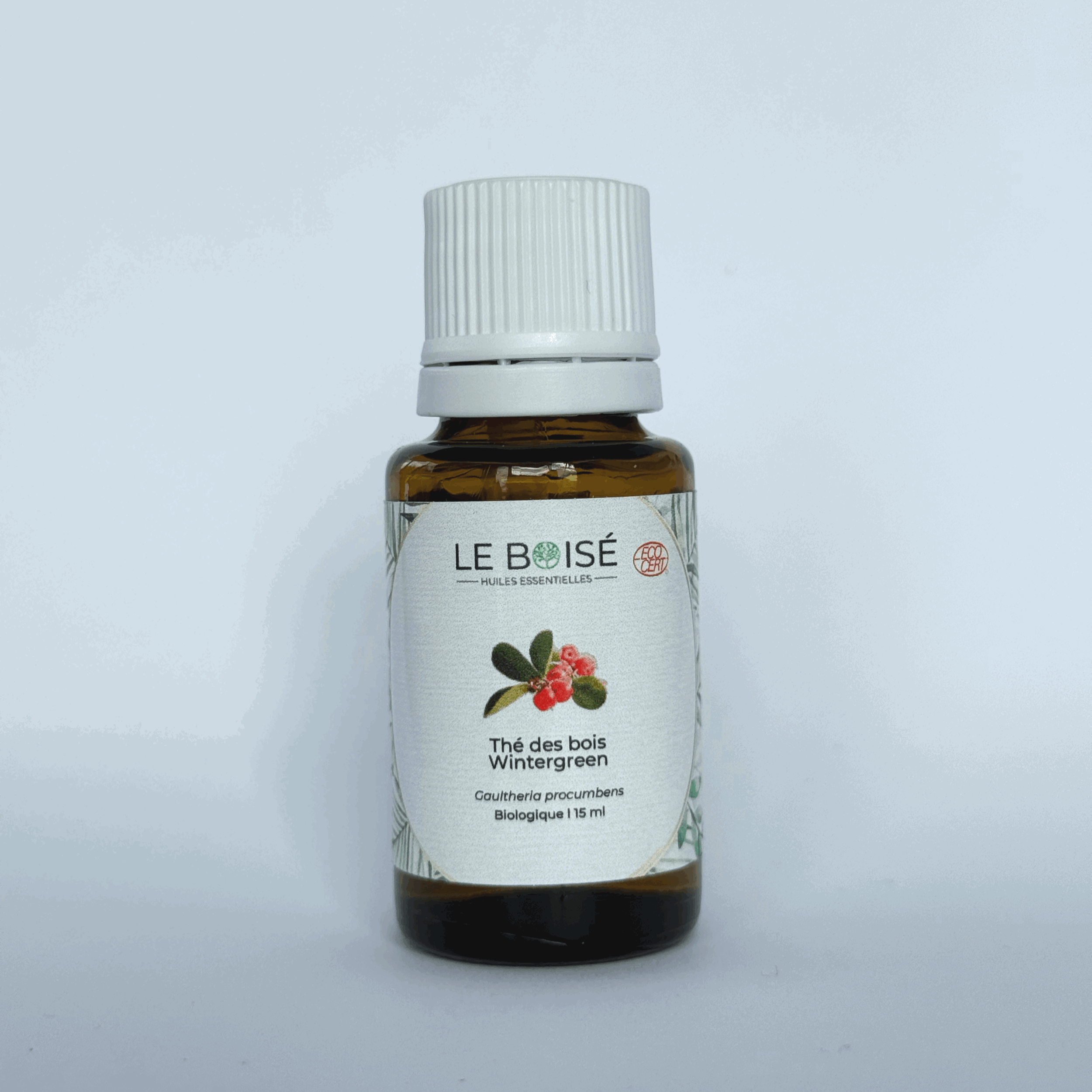 Huile essentielle - Thé des bois (BIO)