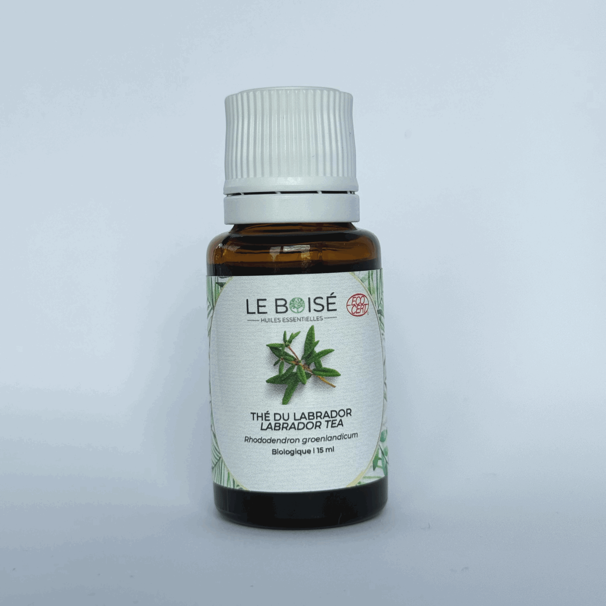 Huile essentielle - Thé du Labrador (BIO)