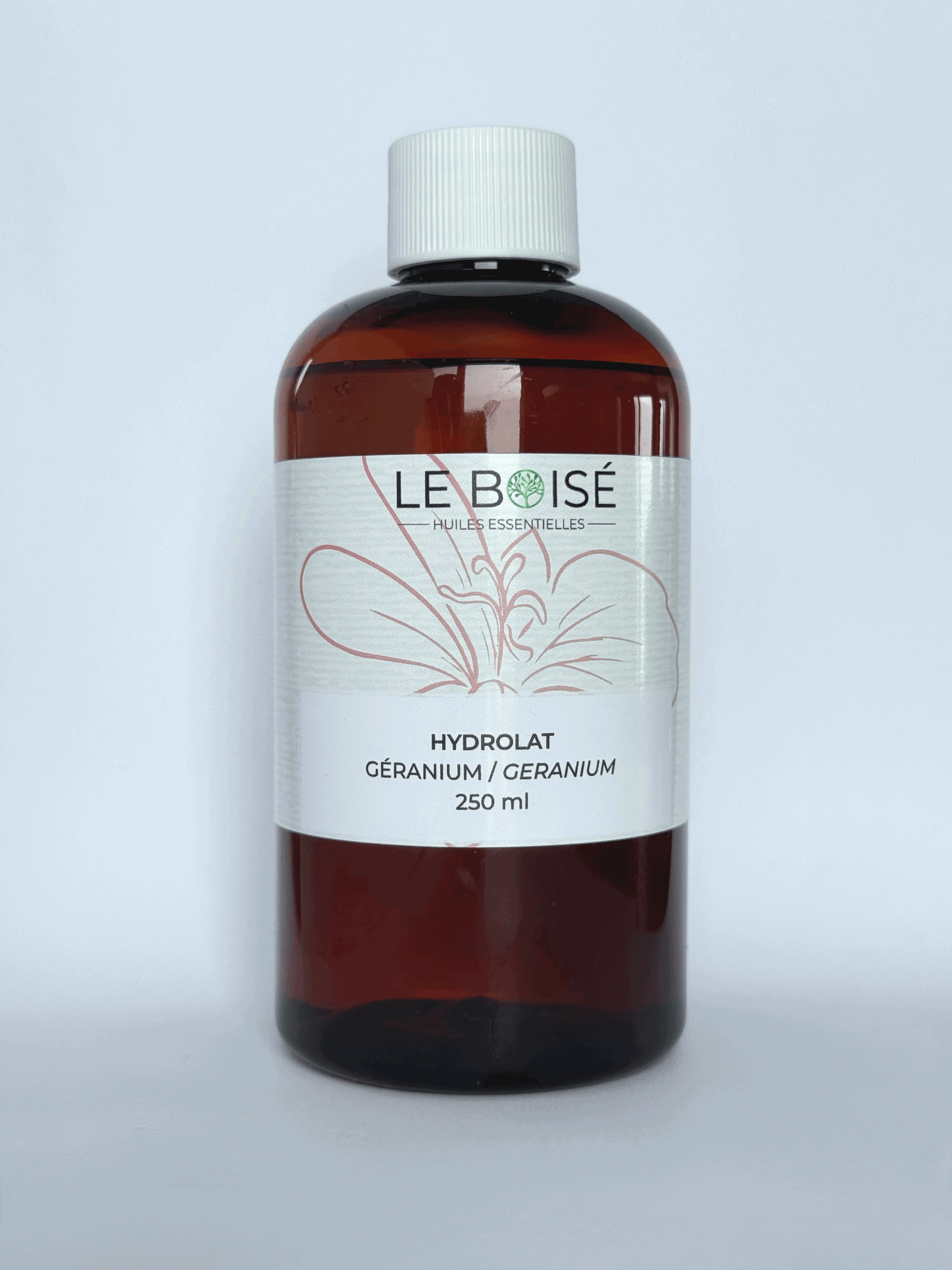 Hydrolat - Géranium