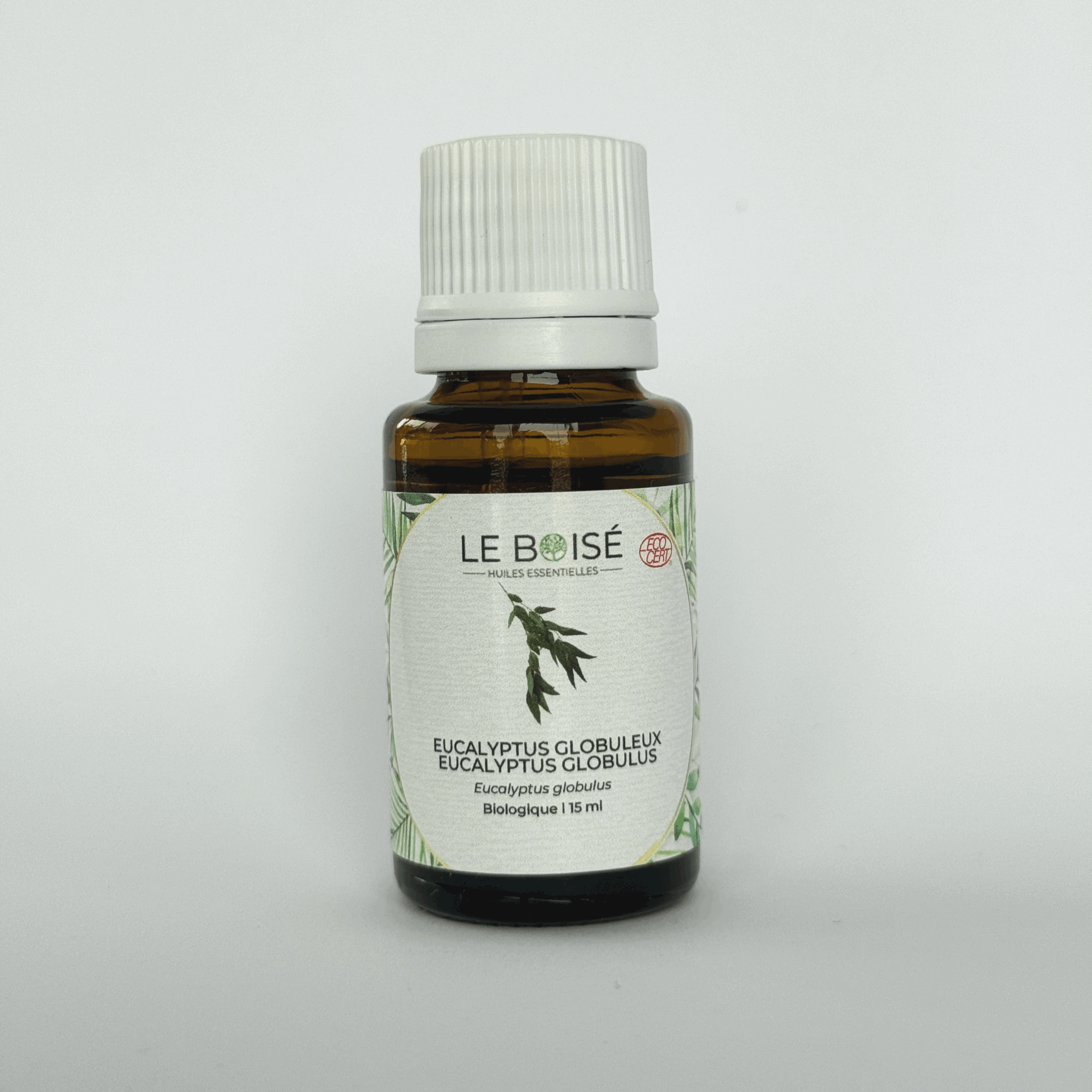 Huile essentielle - Eucalyptus globuleux (BIO)