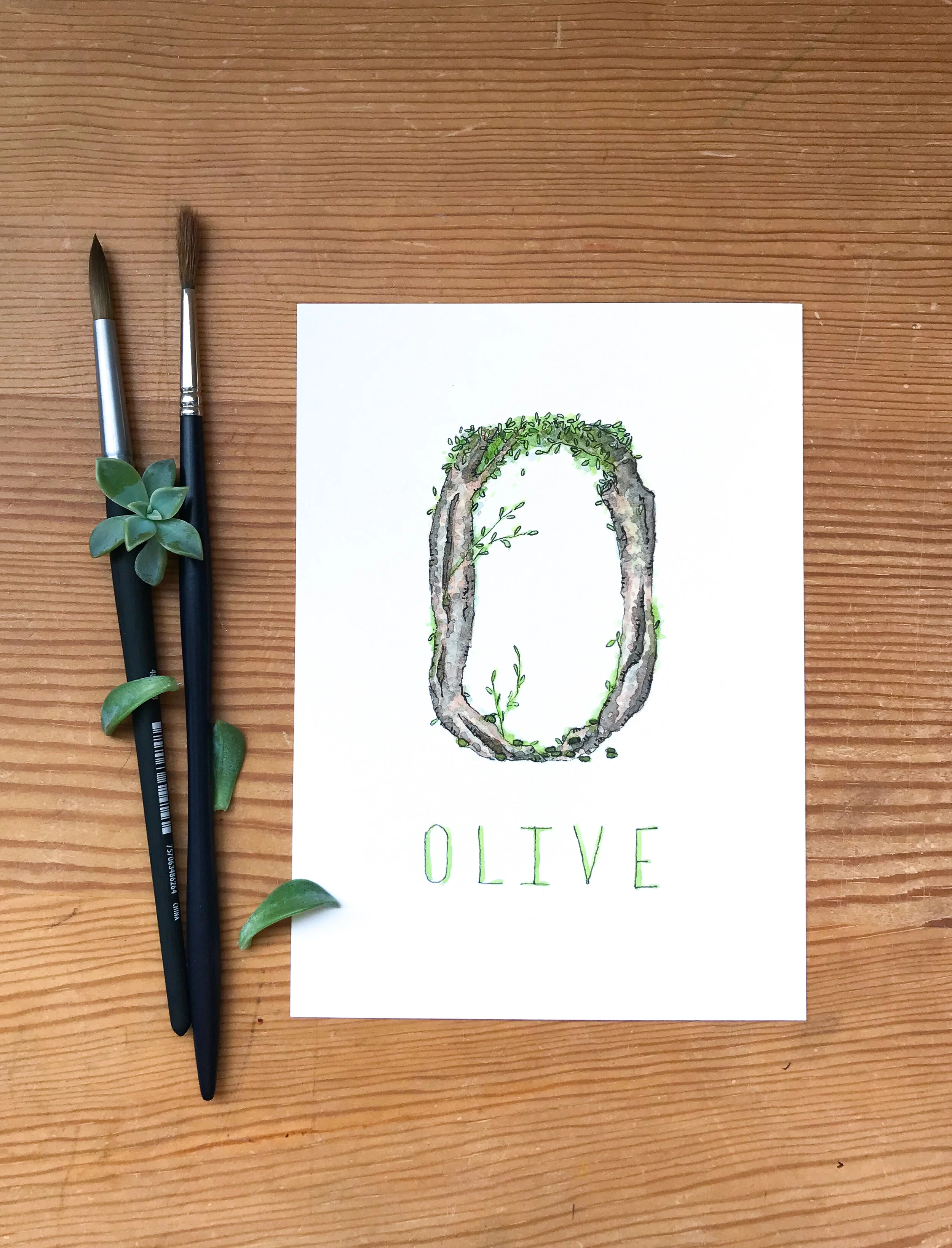 Art print of an olive fruit tree in the shape of an O. Original painting in watercolor.