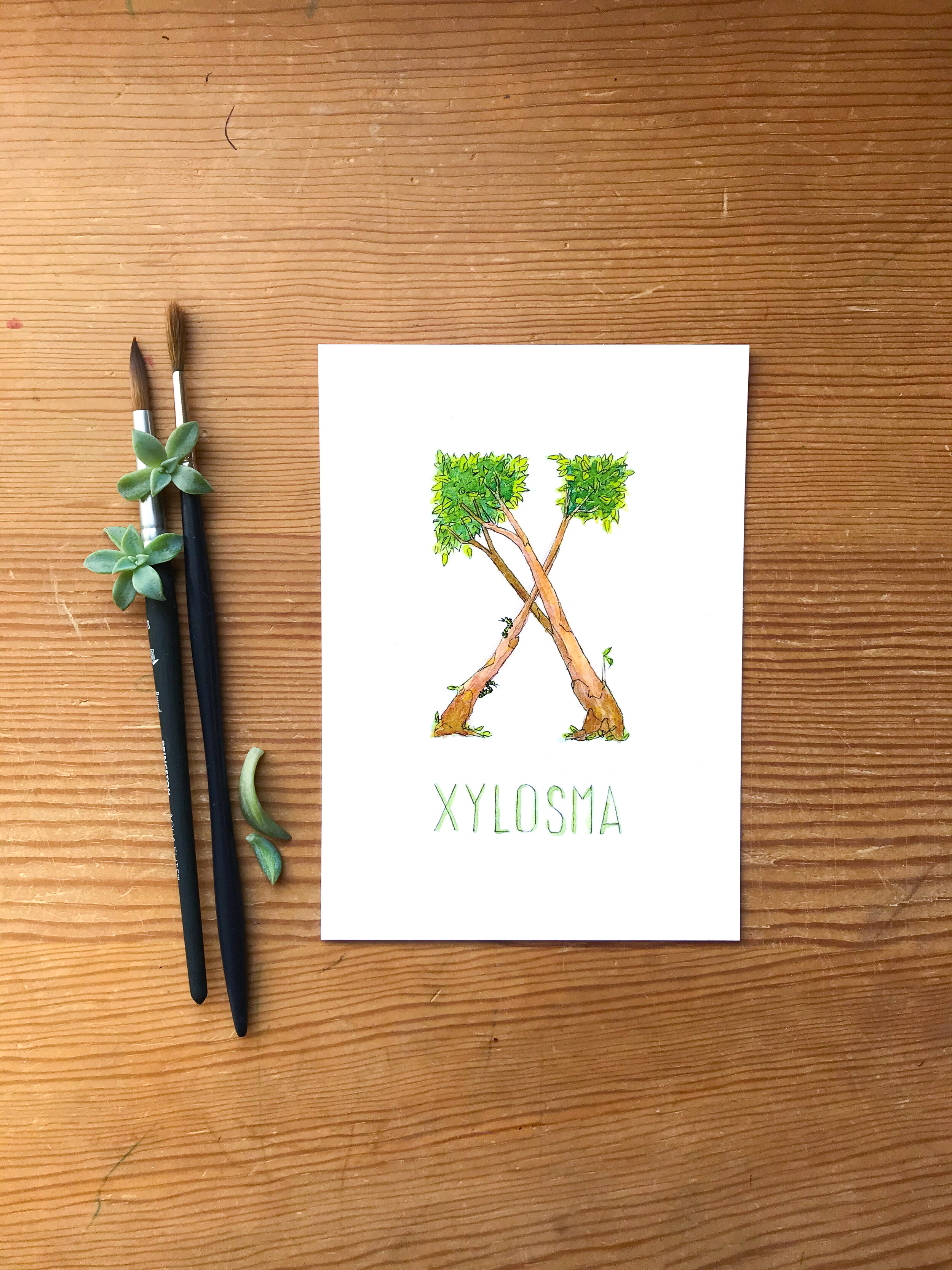 Art print of a xylosma tree in the shape of an X. Original painting in watercolor.