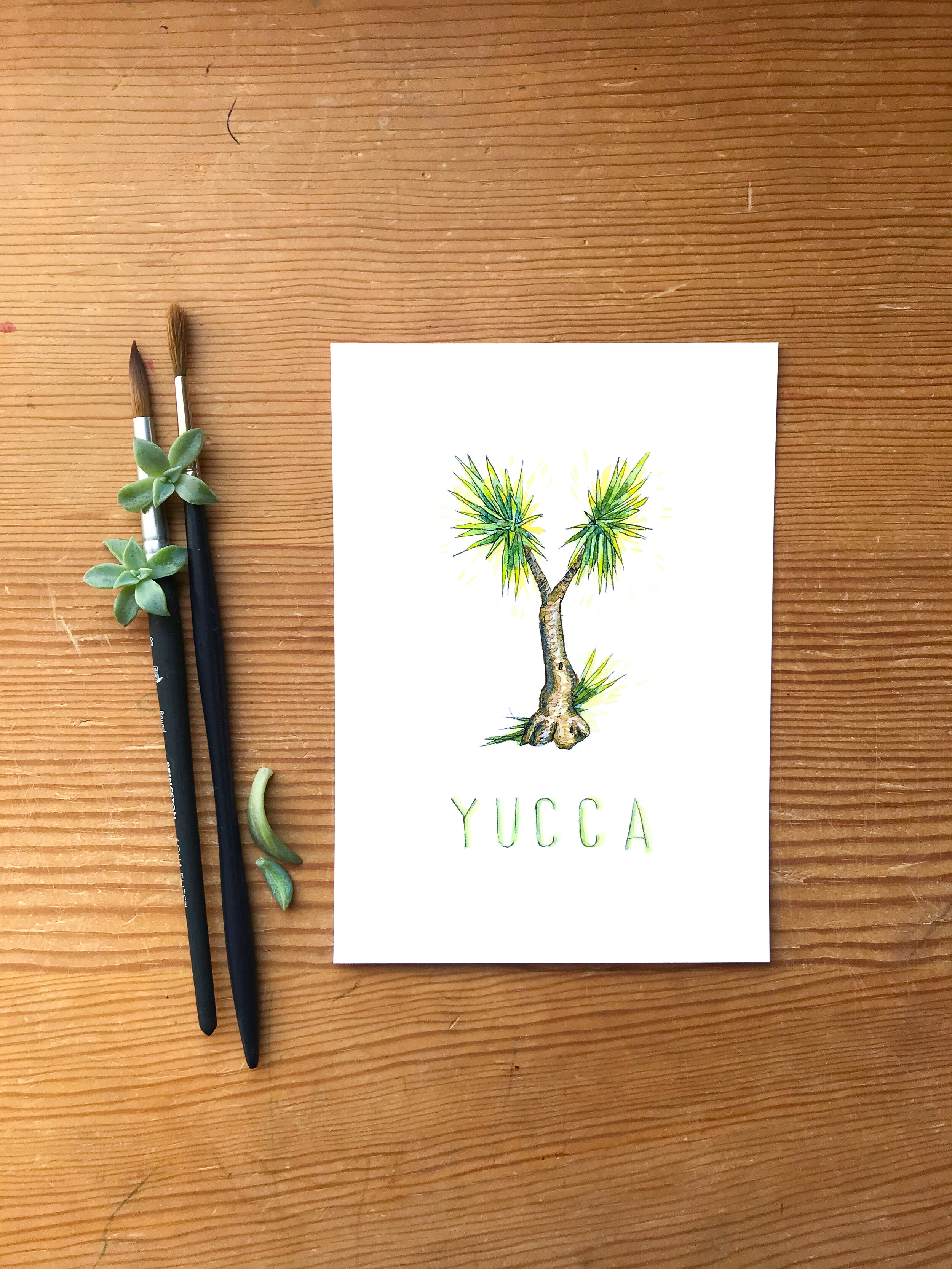 Art print of a yucca tree in the shape of a Y. Original painting in watercolor.