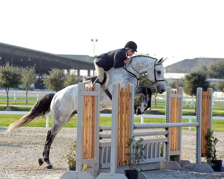 About — Rio Vista Farm