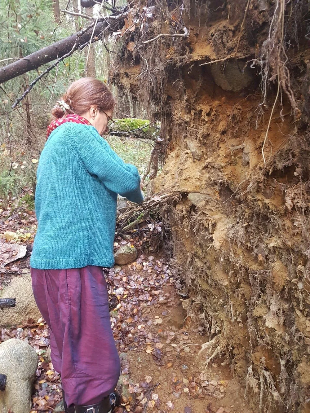 9c5c05fb-d40b-4720-9a70-1915d3d16649 2.JPG