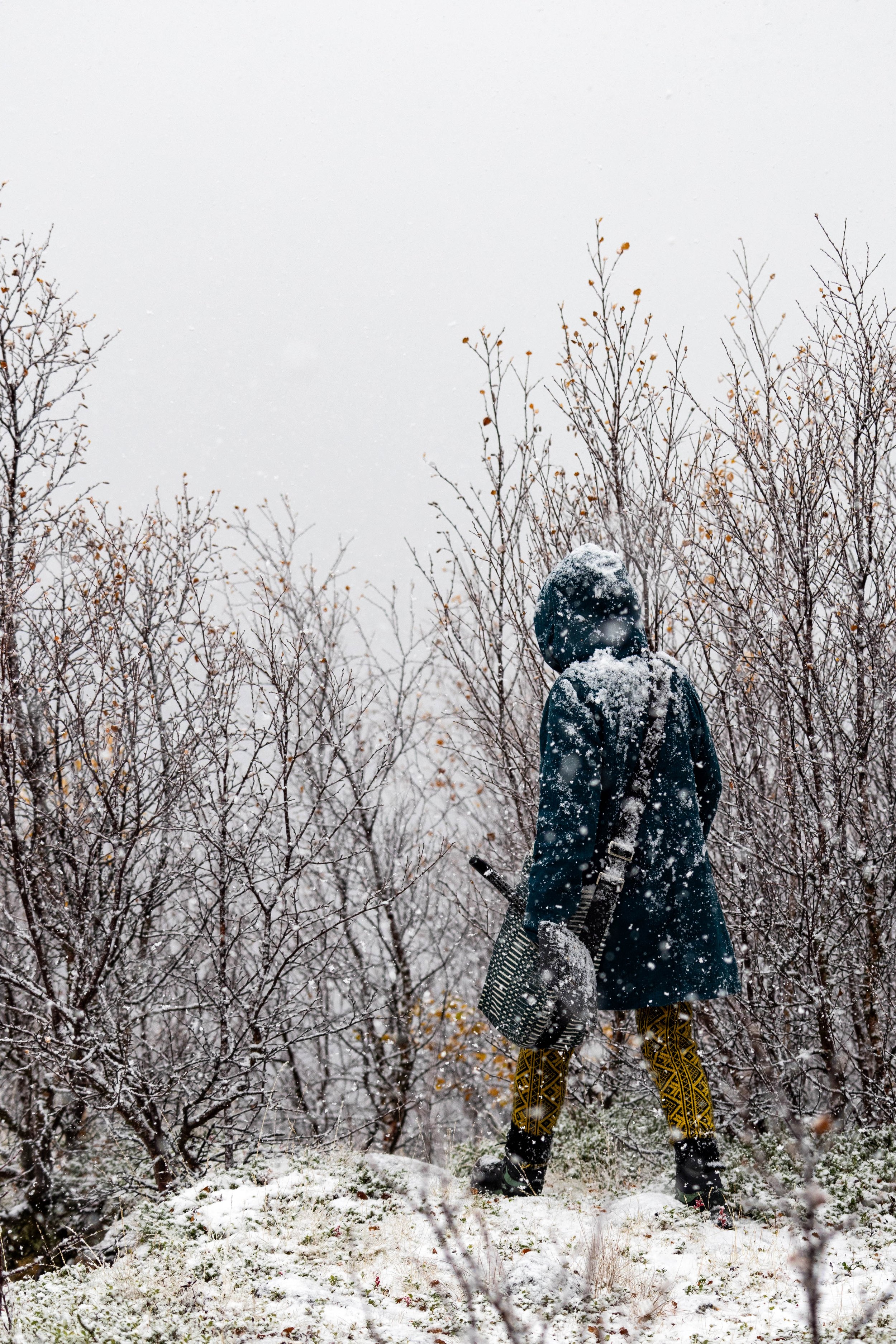 Snowing_in_Ala-Jalve_Photo_Vertti_Virasjoki.jpg