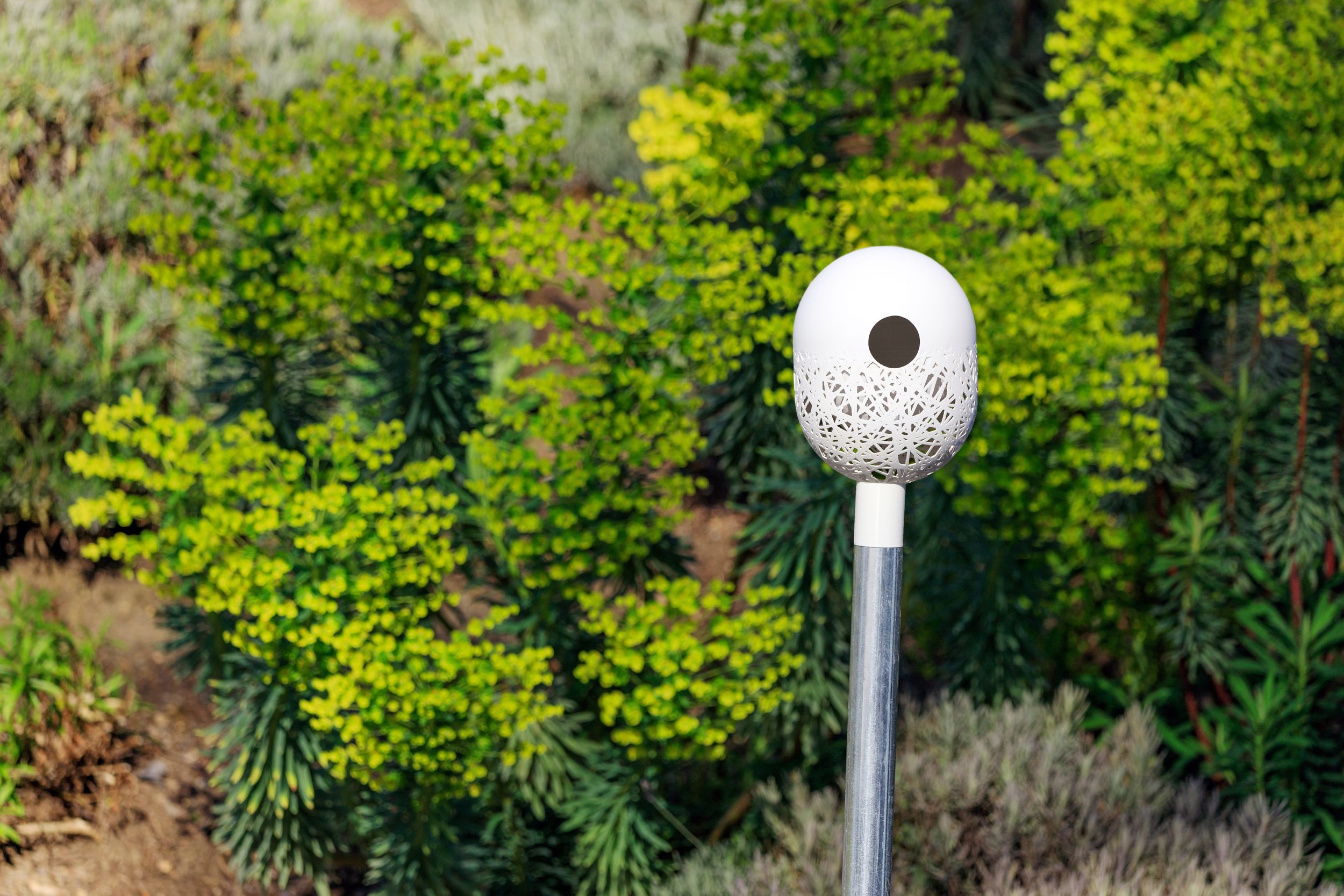 2023-04-10-Bird-House-Proto-13.jpg