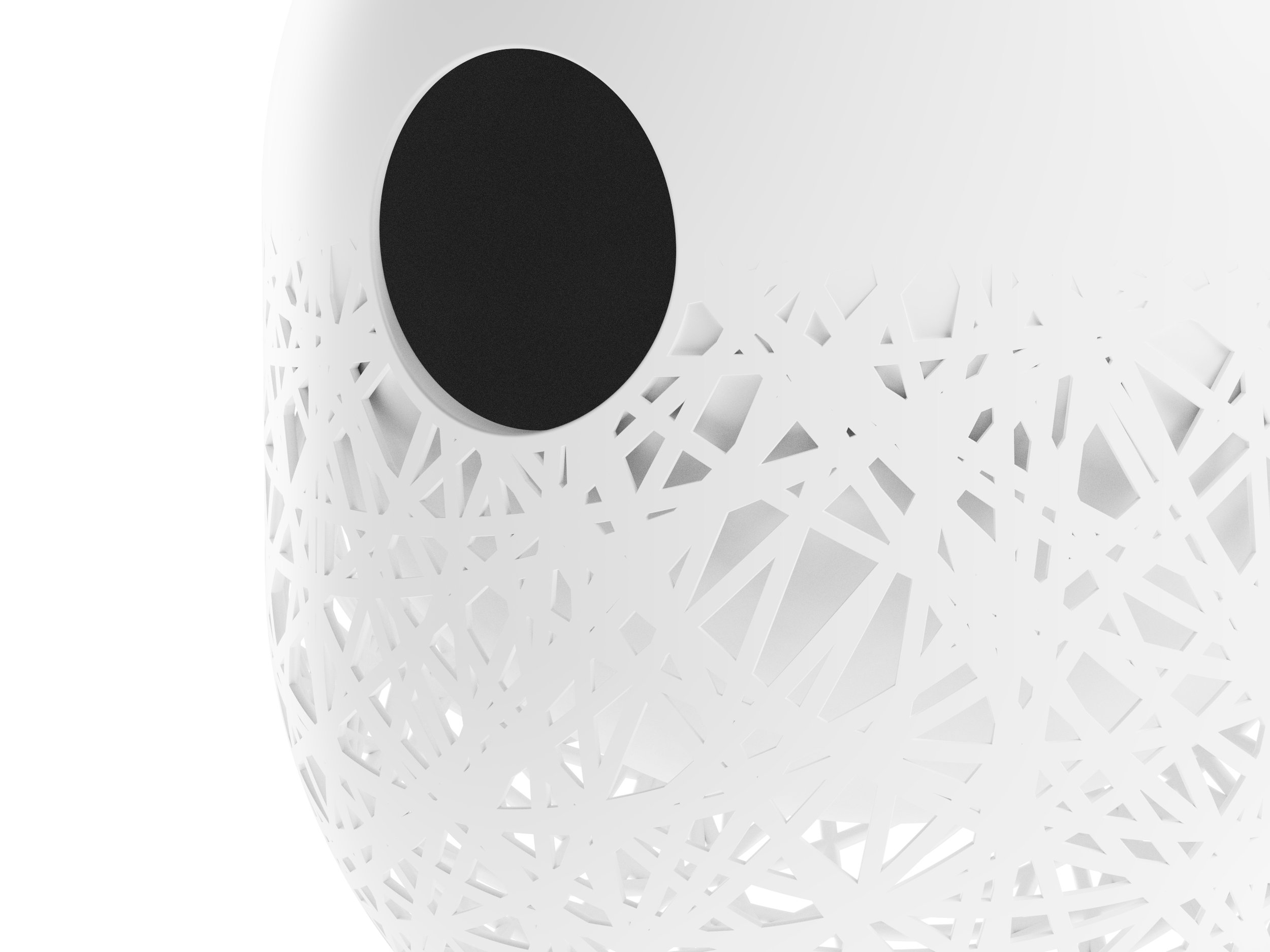 BN-close-up-opening.jpg