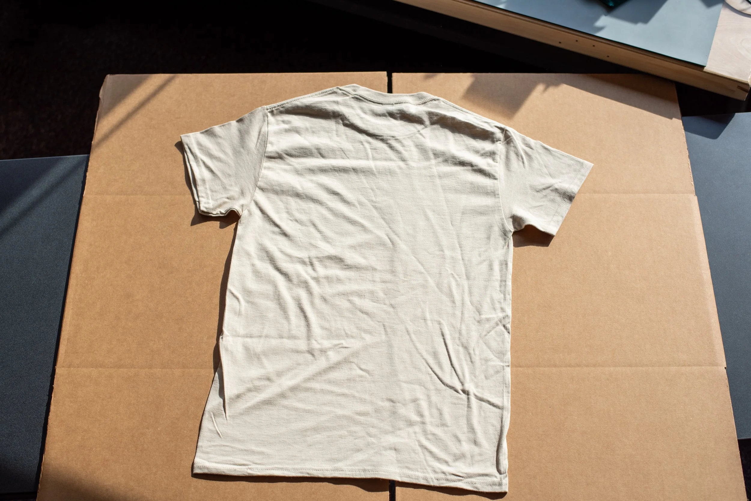 ampt_merch-06.jpg