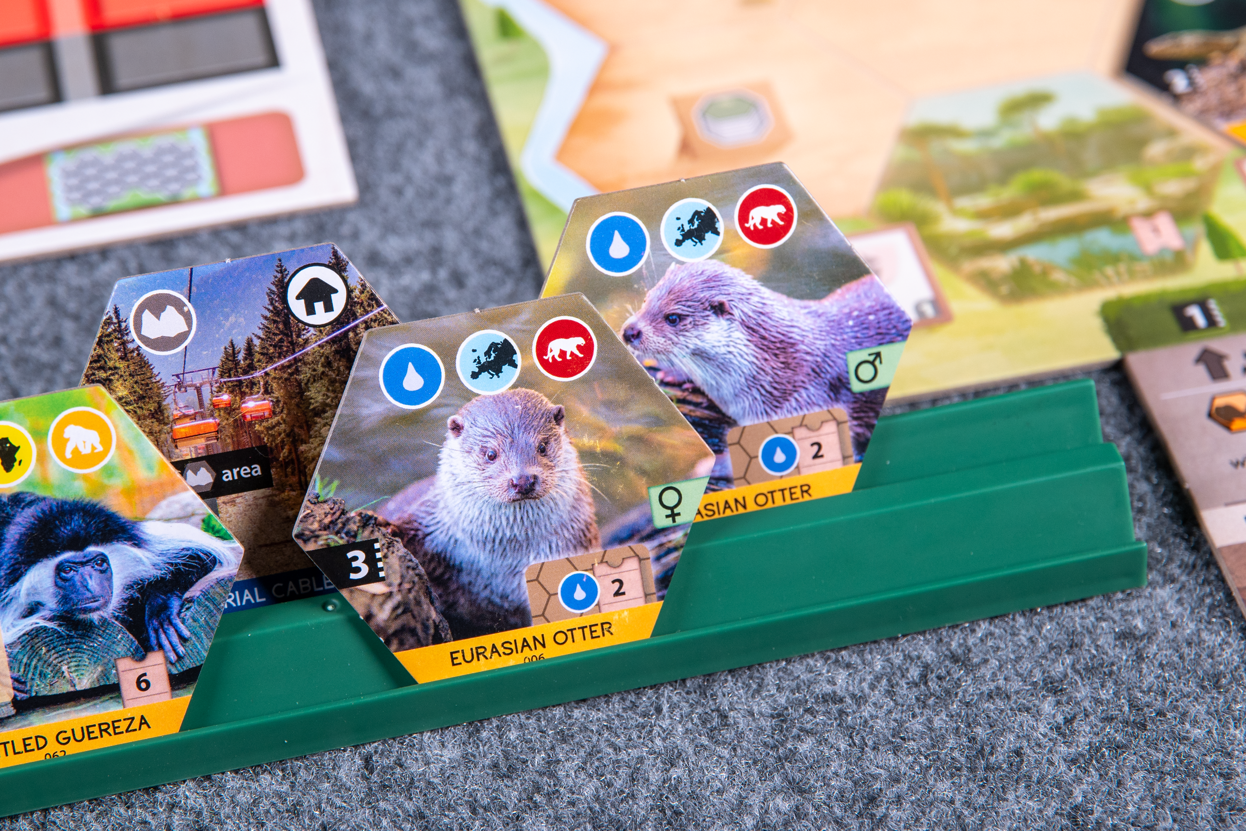 Sanctuary Game-1.png