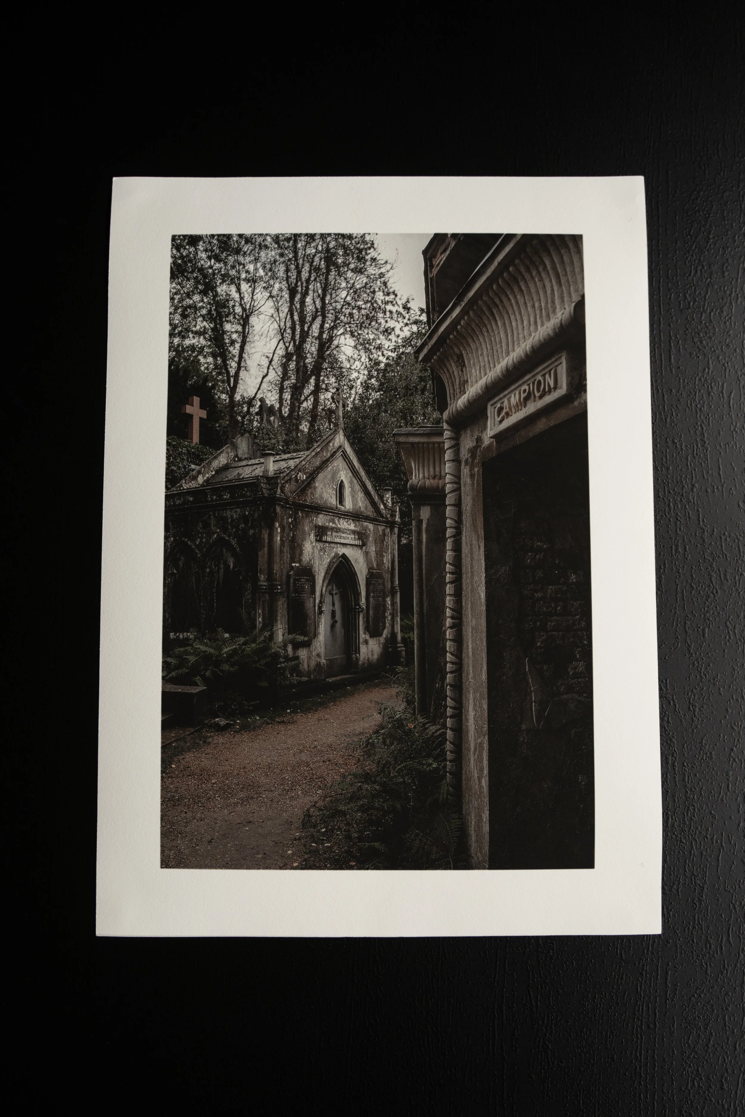 Highgate new website.jpg