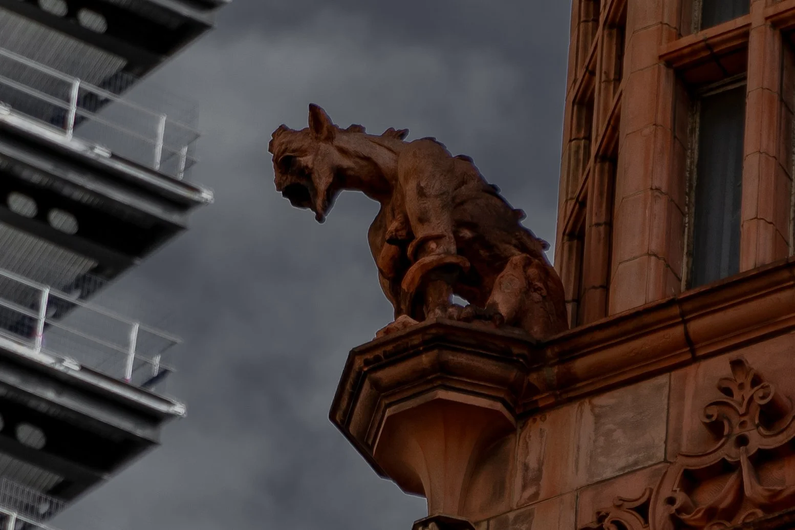 Cornhill Devils 6.jpg