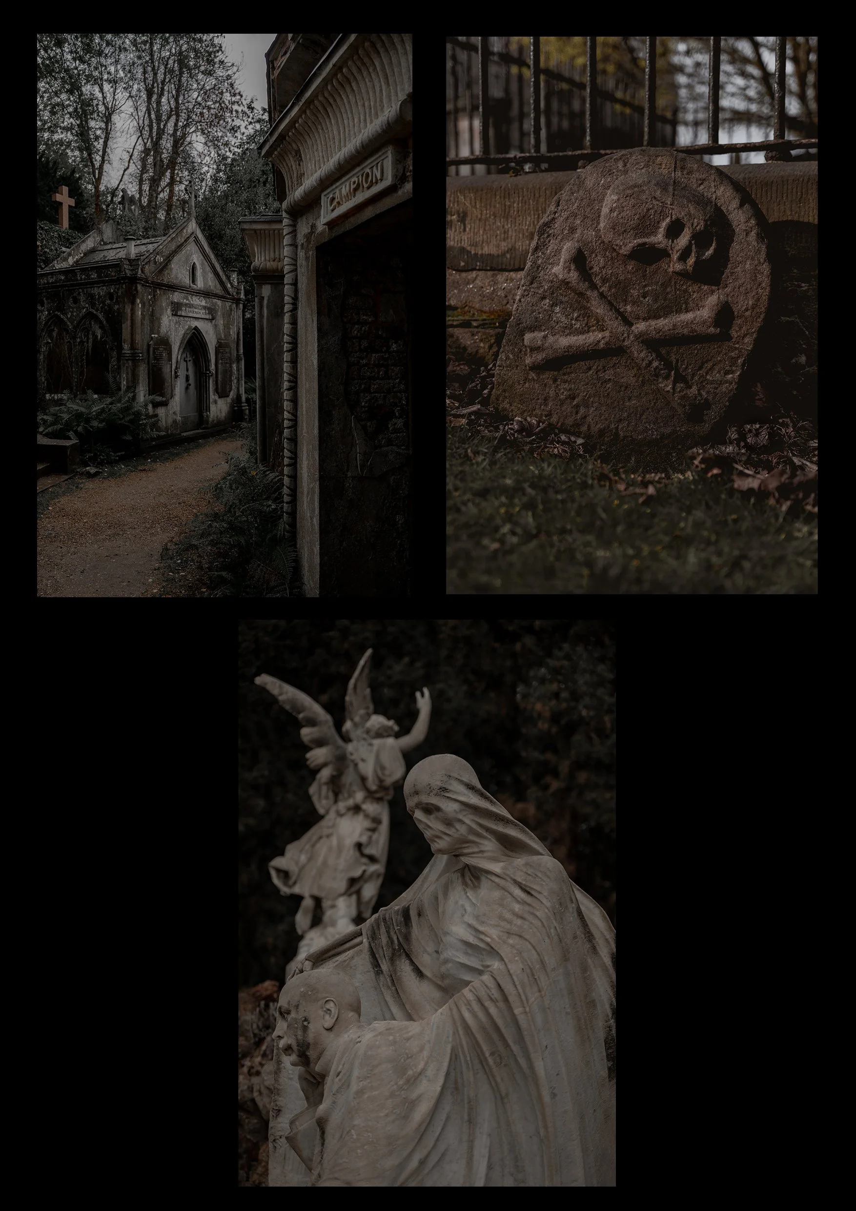 bundle collectionFINAL.jpg