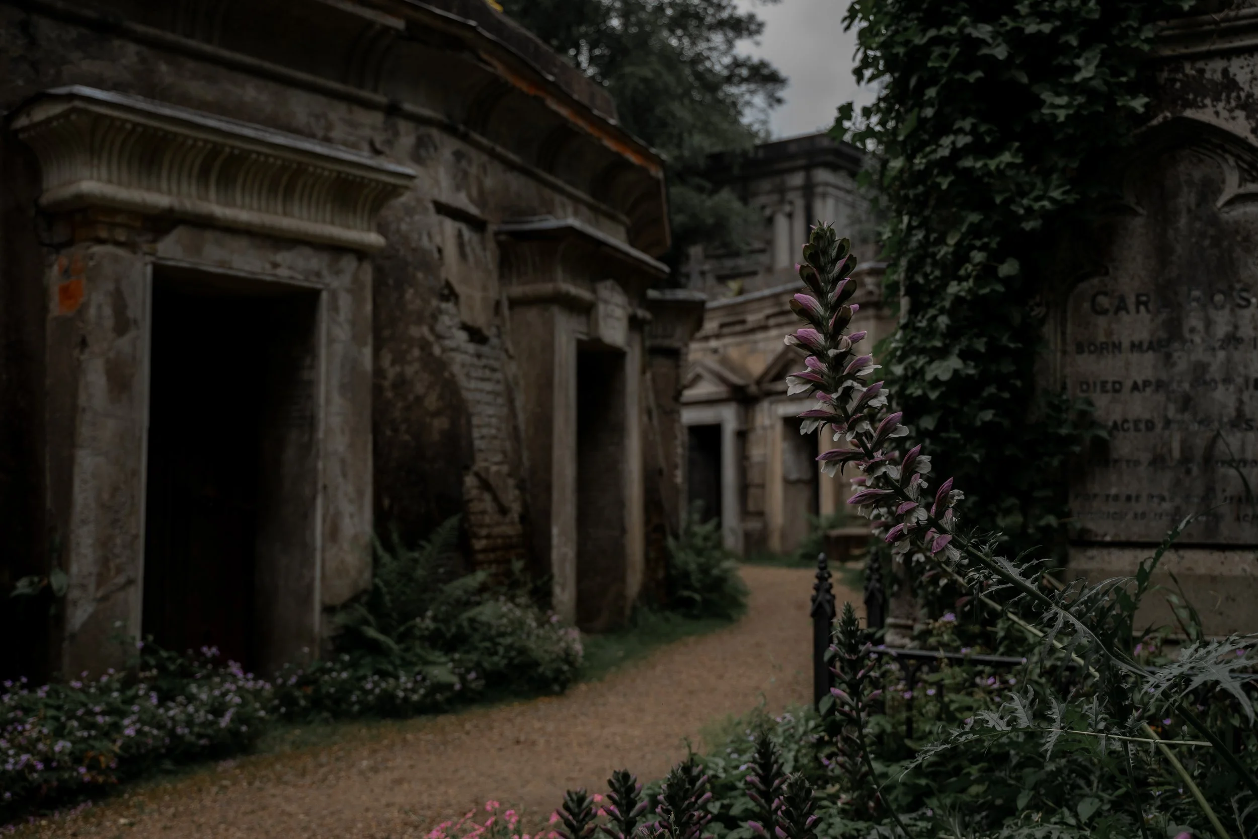 Highgate 2.jpg